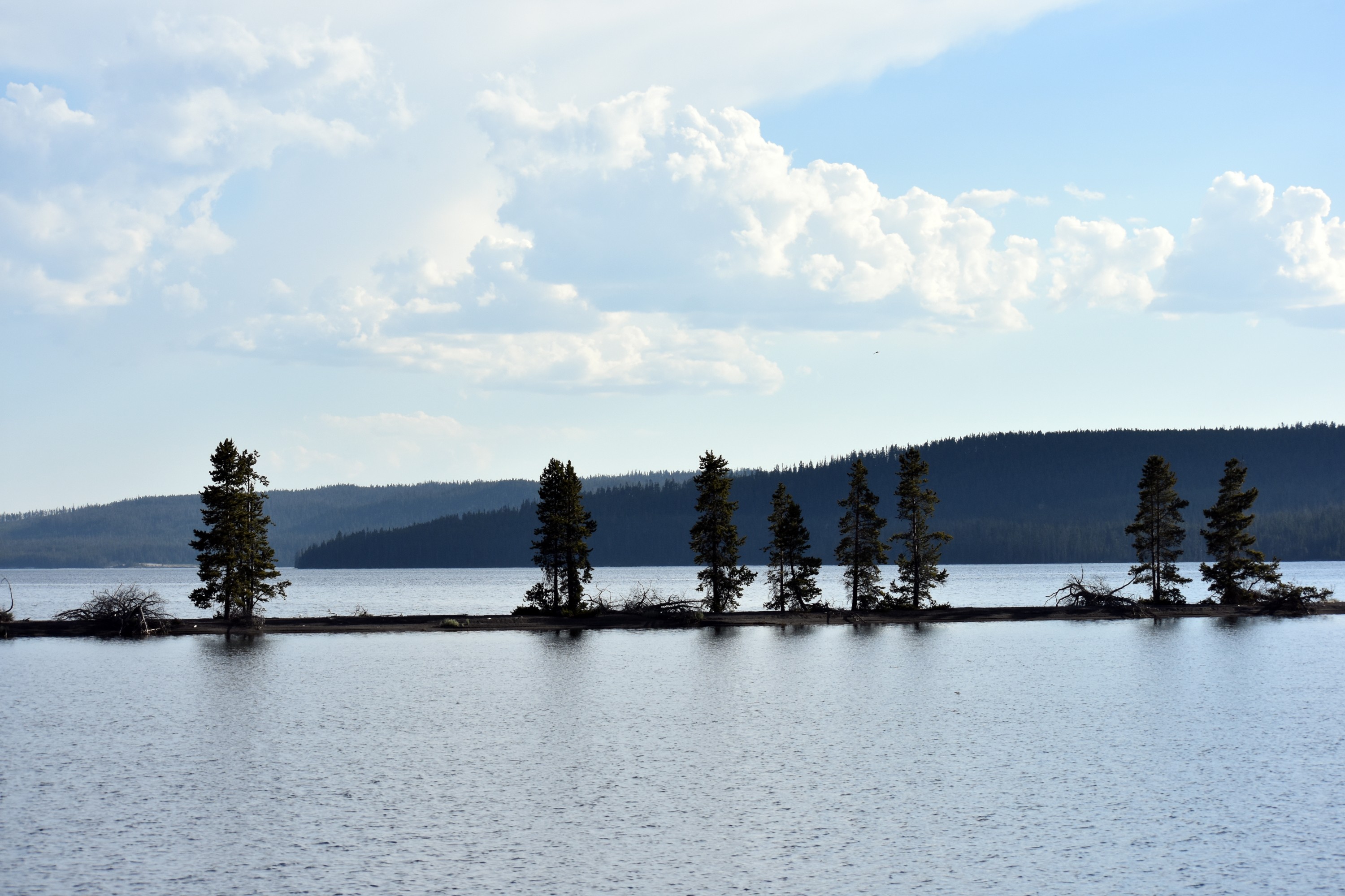 DSC_0013.jpg