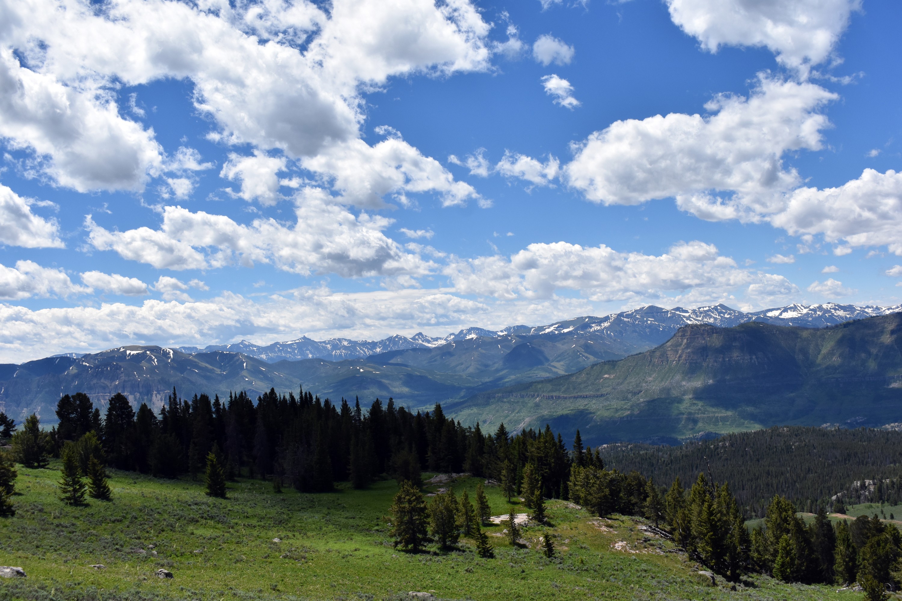DSC_0031-2.jpg