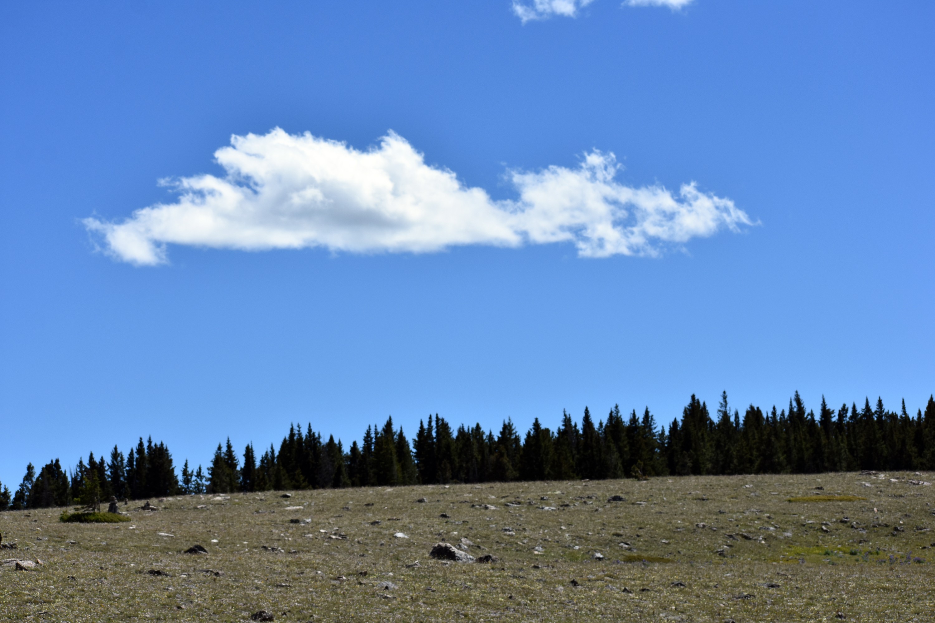 DSC_0085-2.jpg