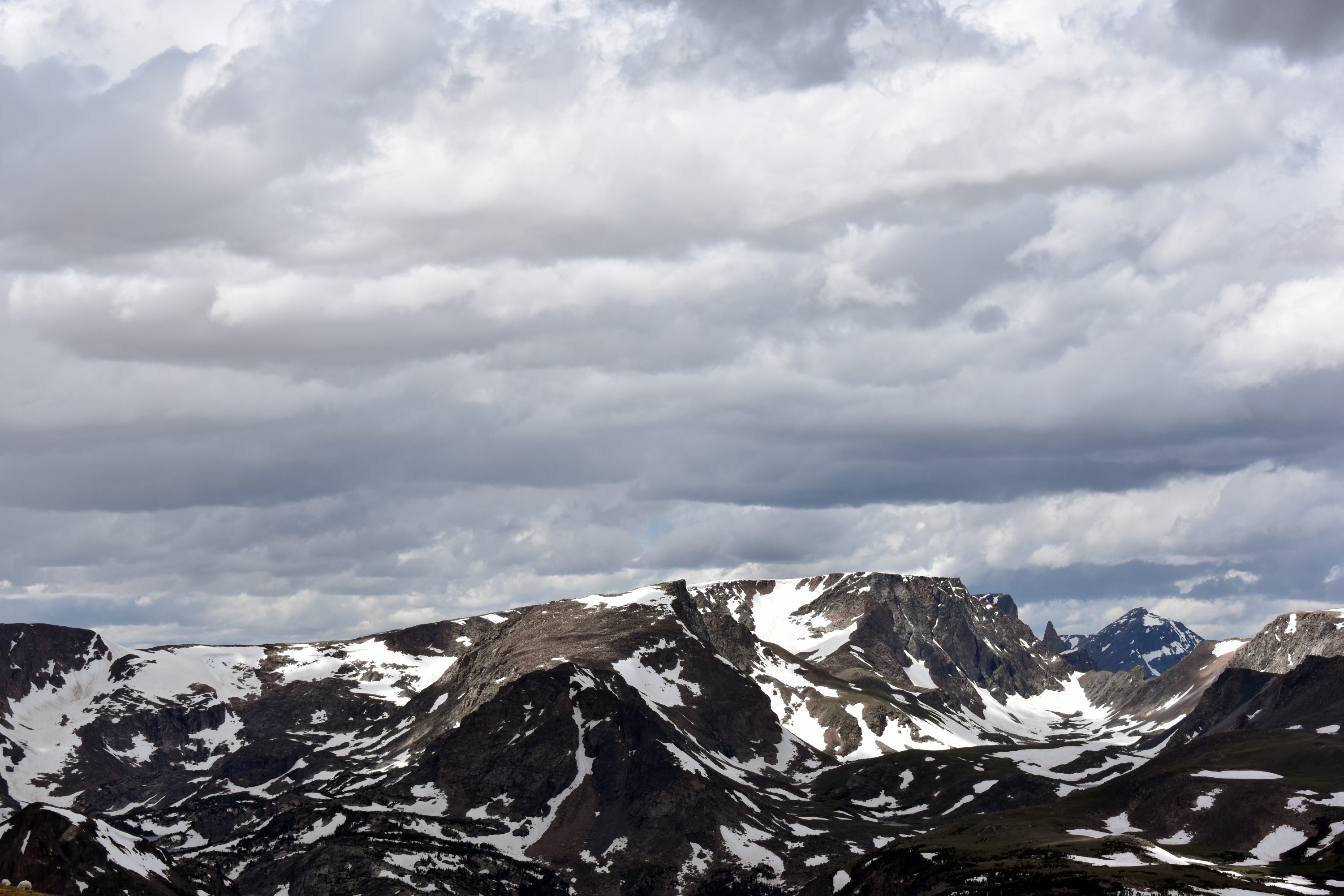 DSC_0262.jpg