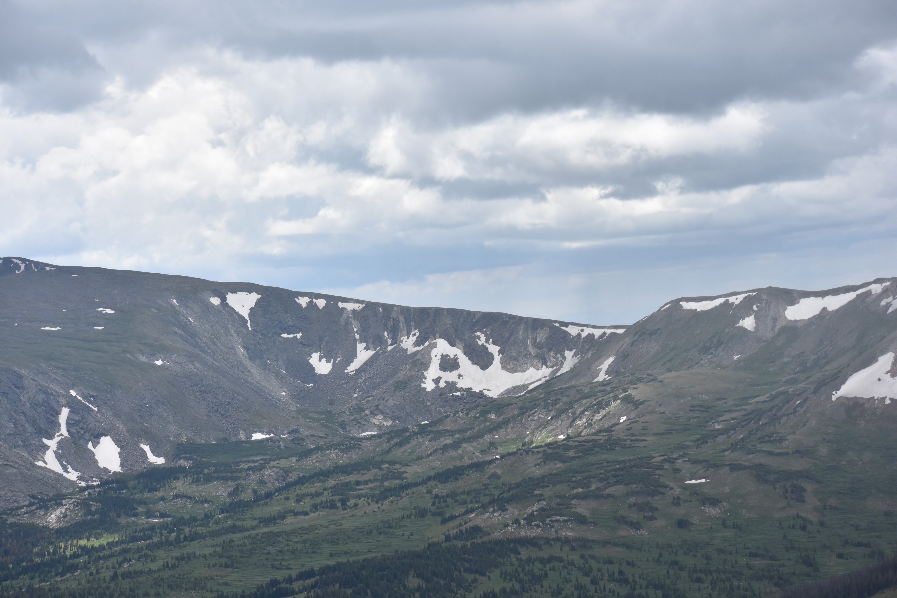 DSC_0200.jpg