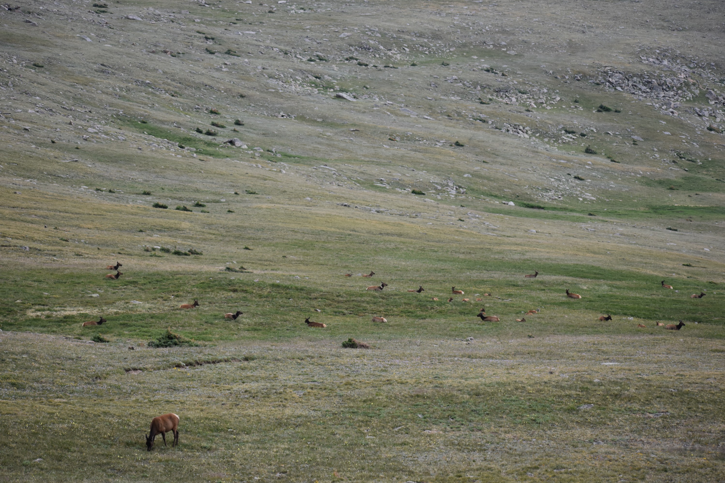 DSC_0224.jpg