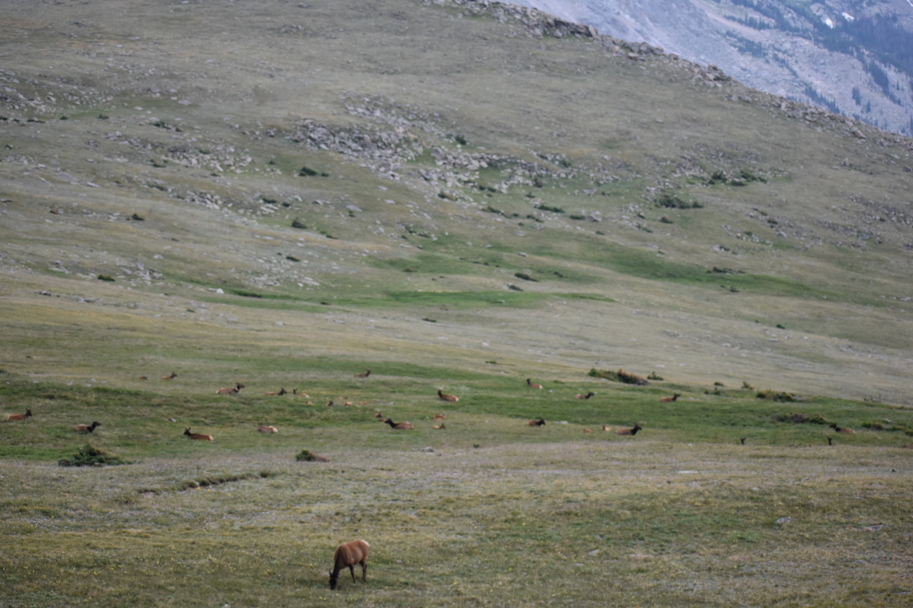 DSC_0226.jpg
