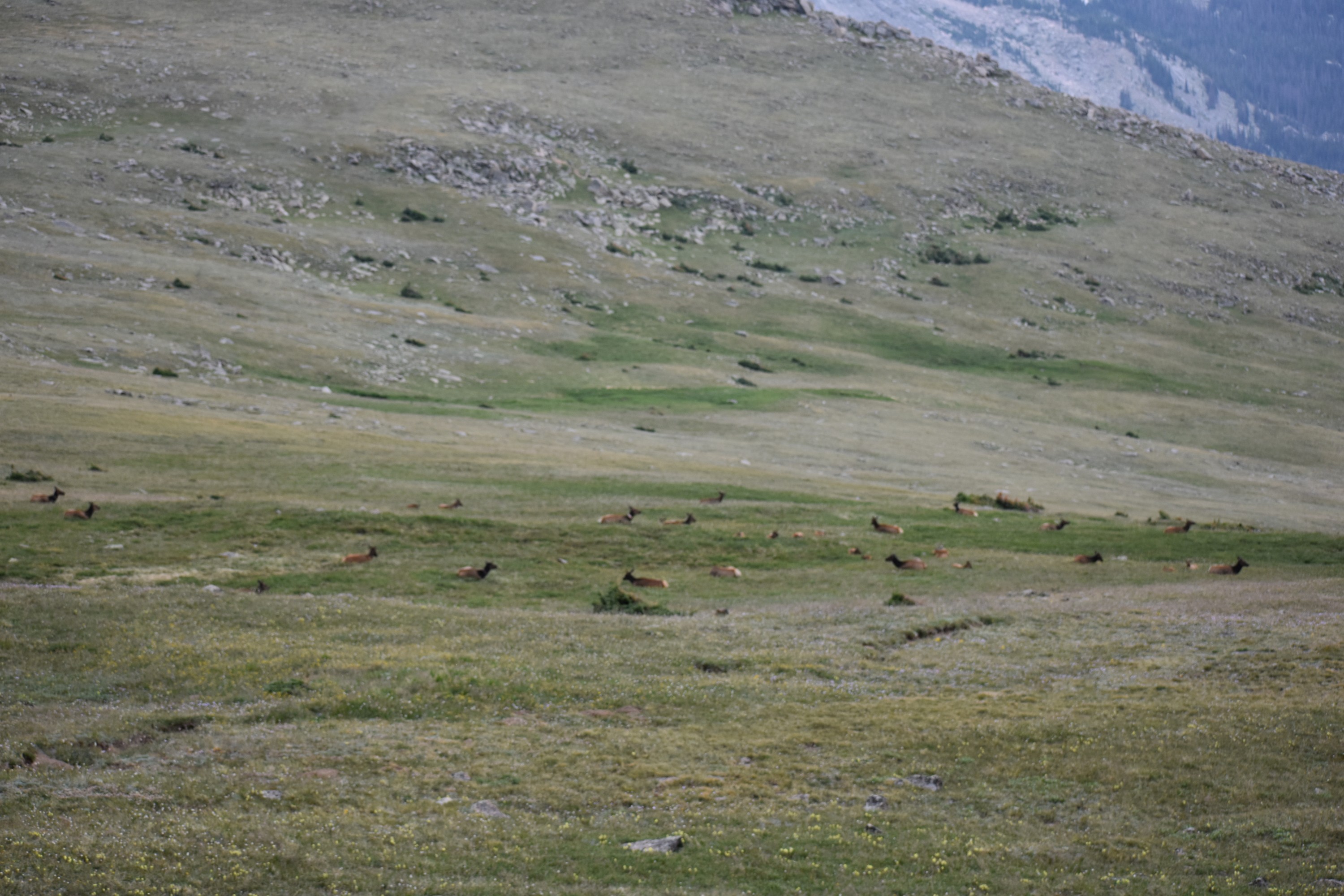 DSC_0228.jpg