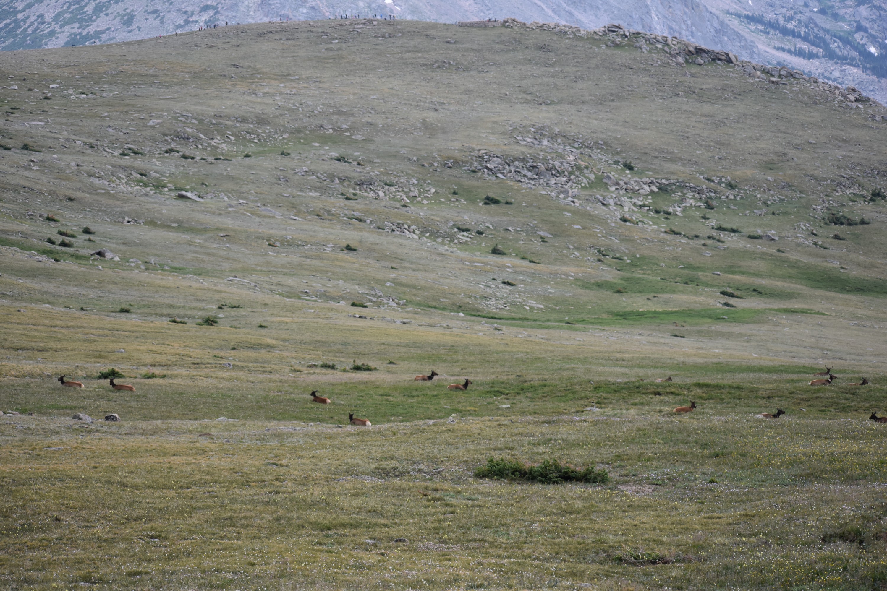 DSC_0230.jpg