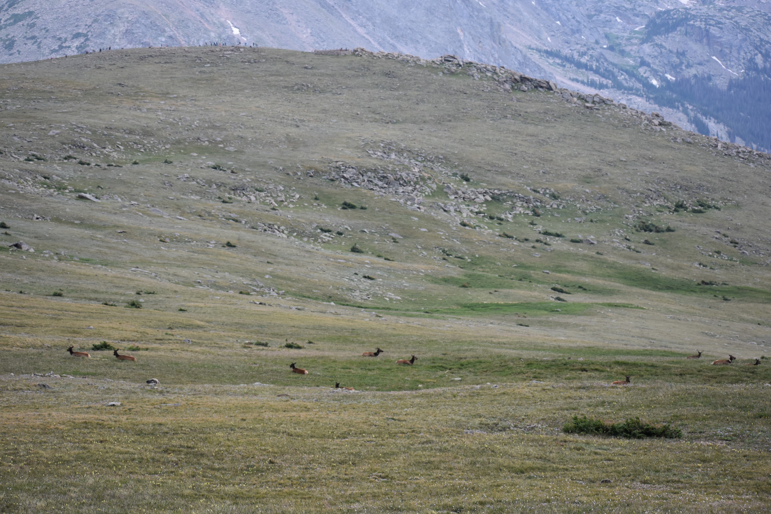 DSC_0231.jpg