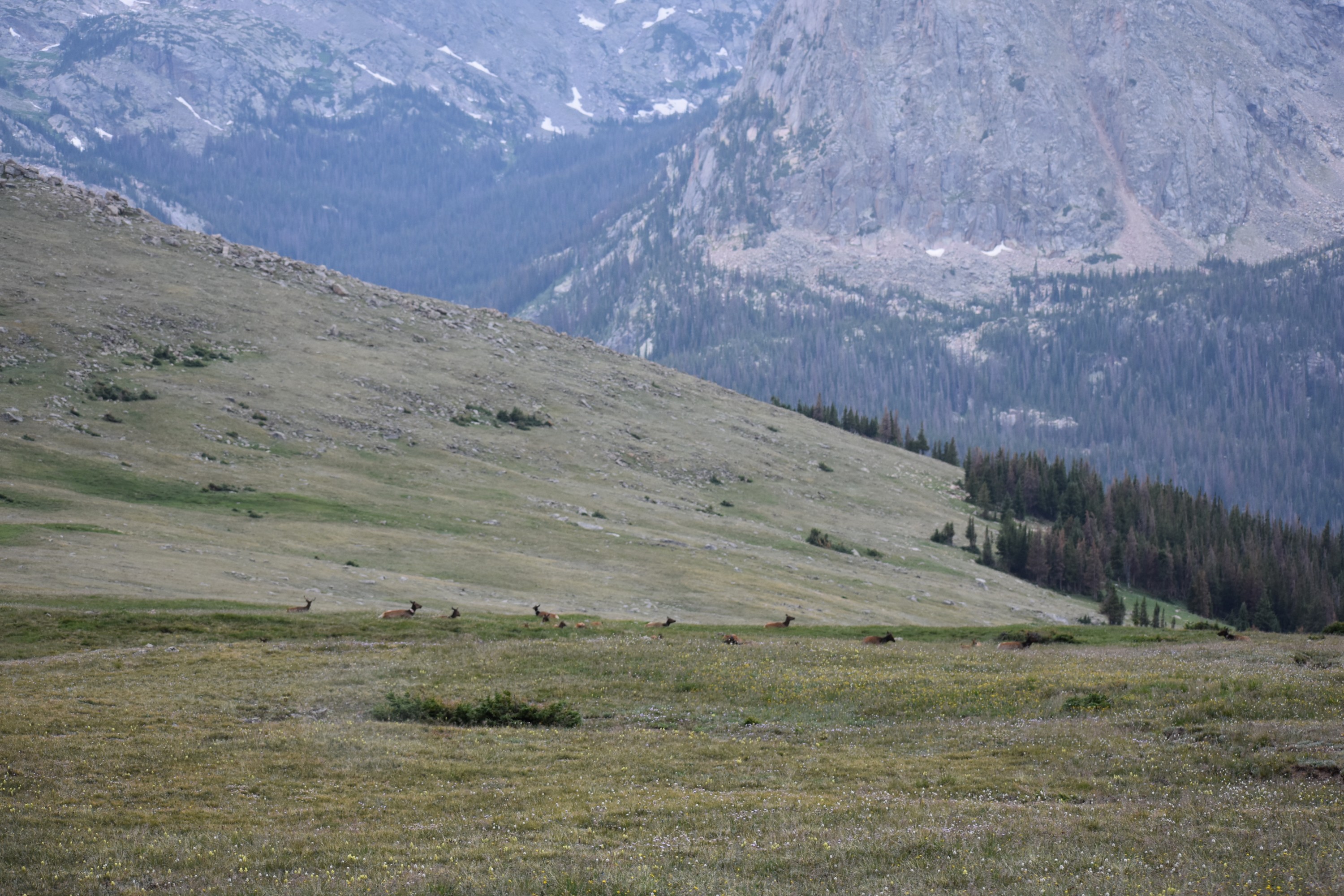 DSC_0232.jpg