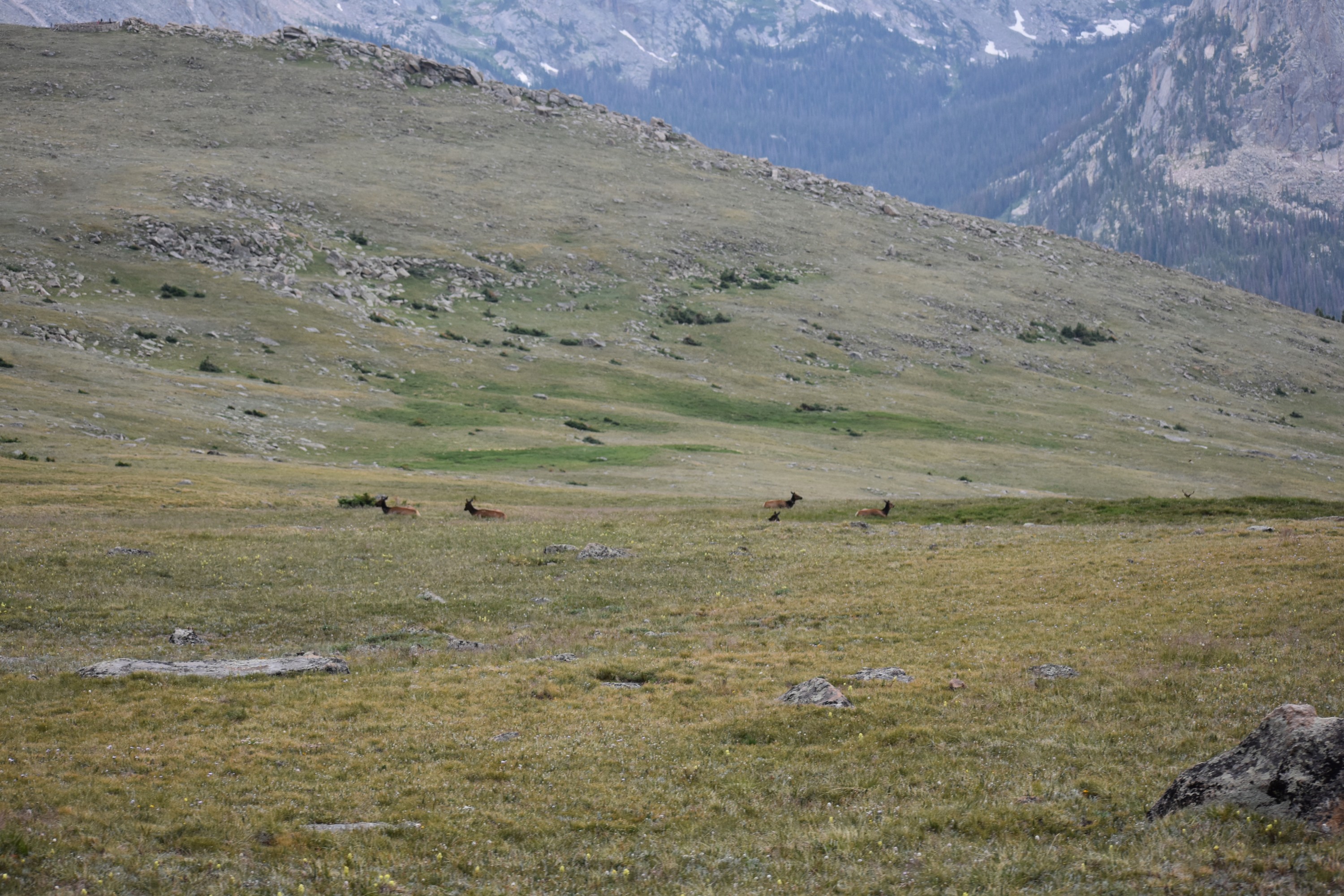 DSC_0234.jpg