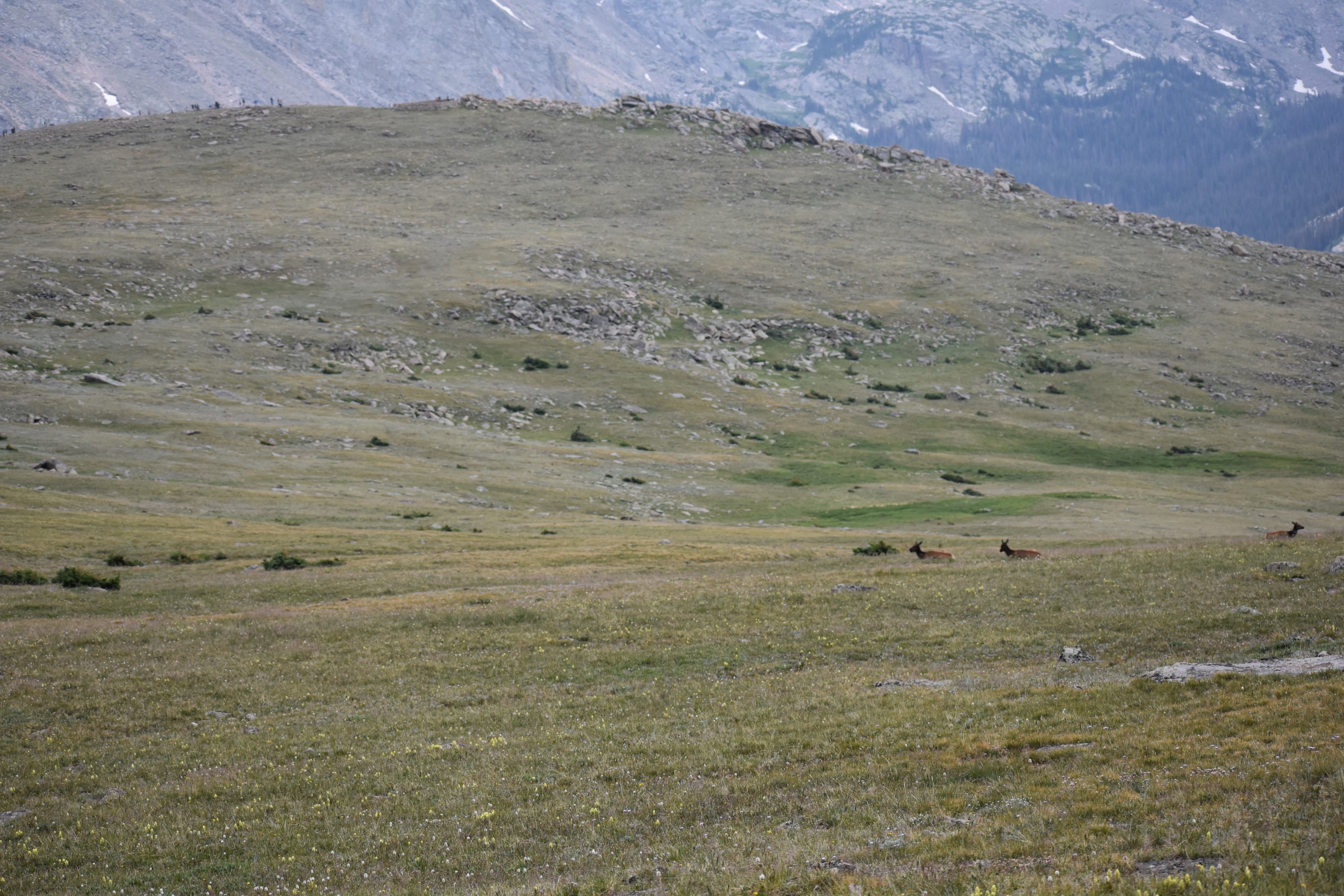 DSC_0235.jpg