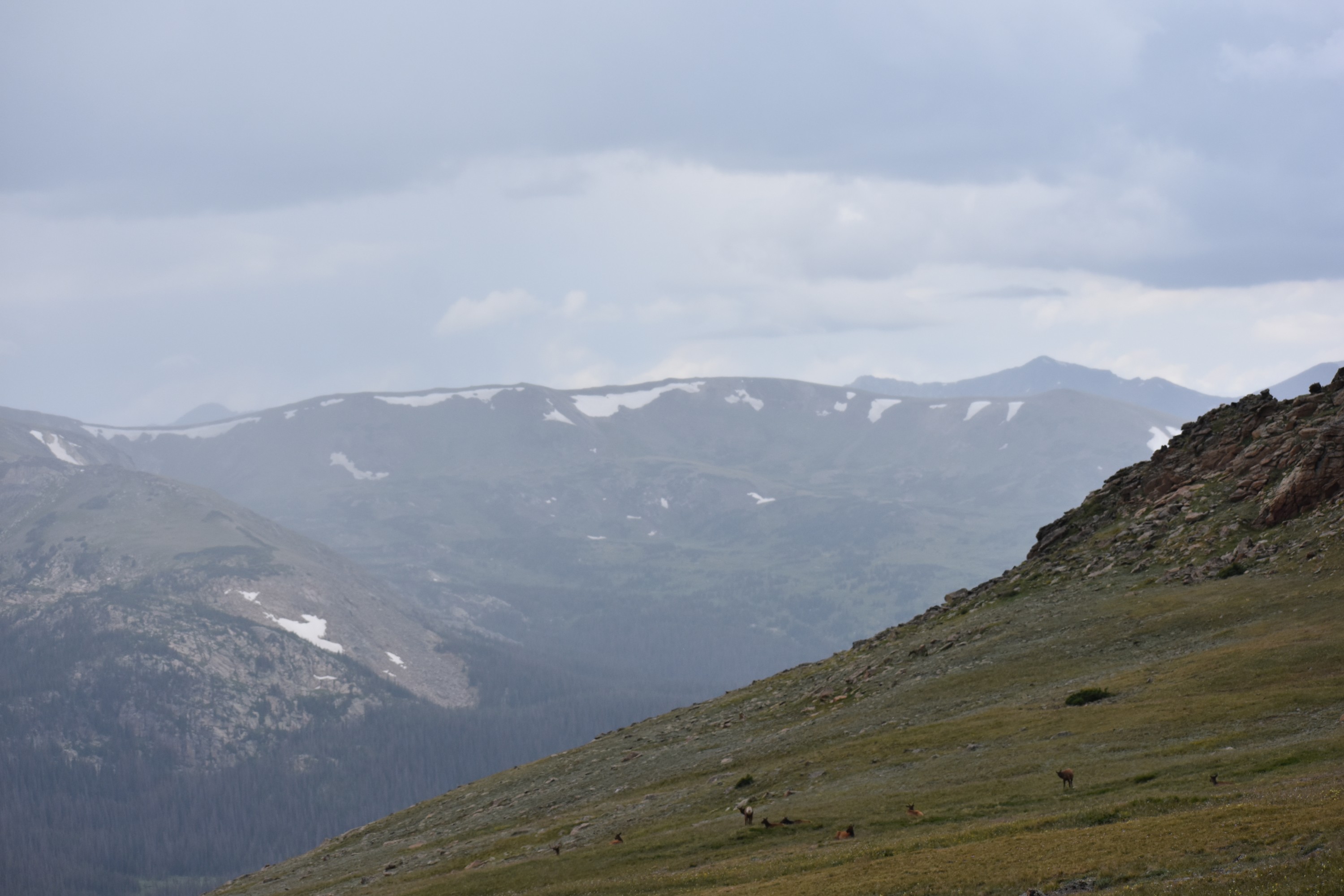 DSC_0236.jpg