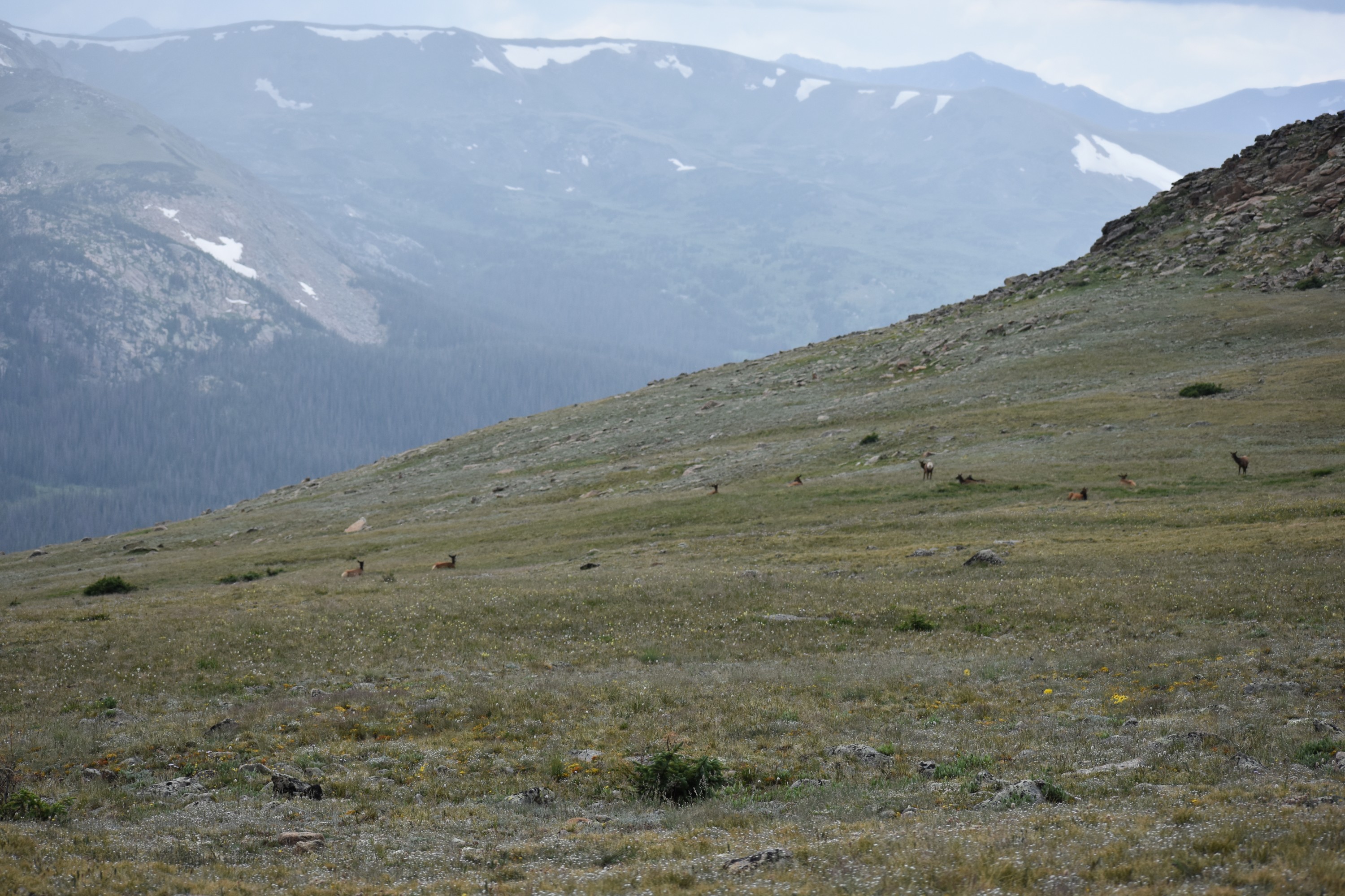 DSC_0237.jpg