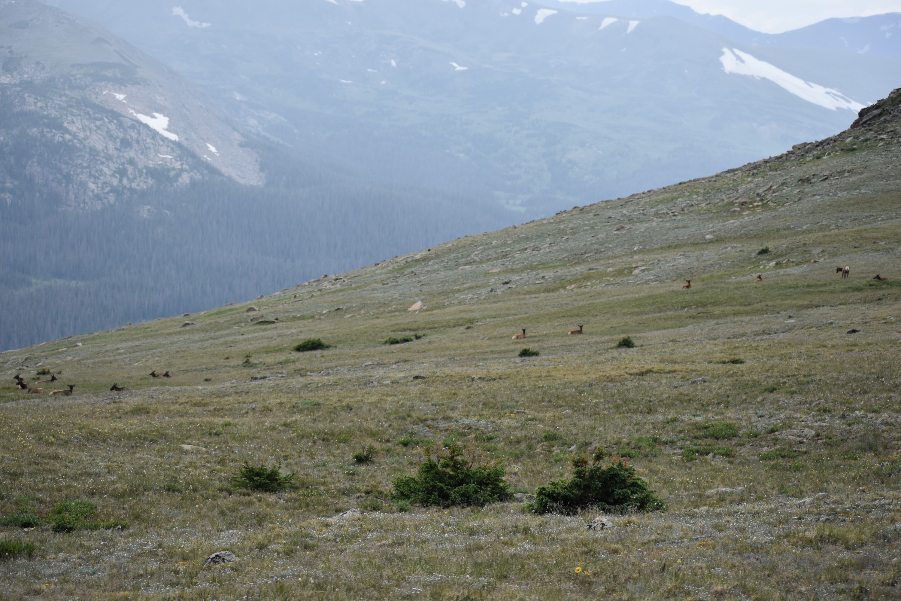 DSC_0238.jpg