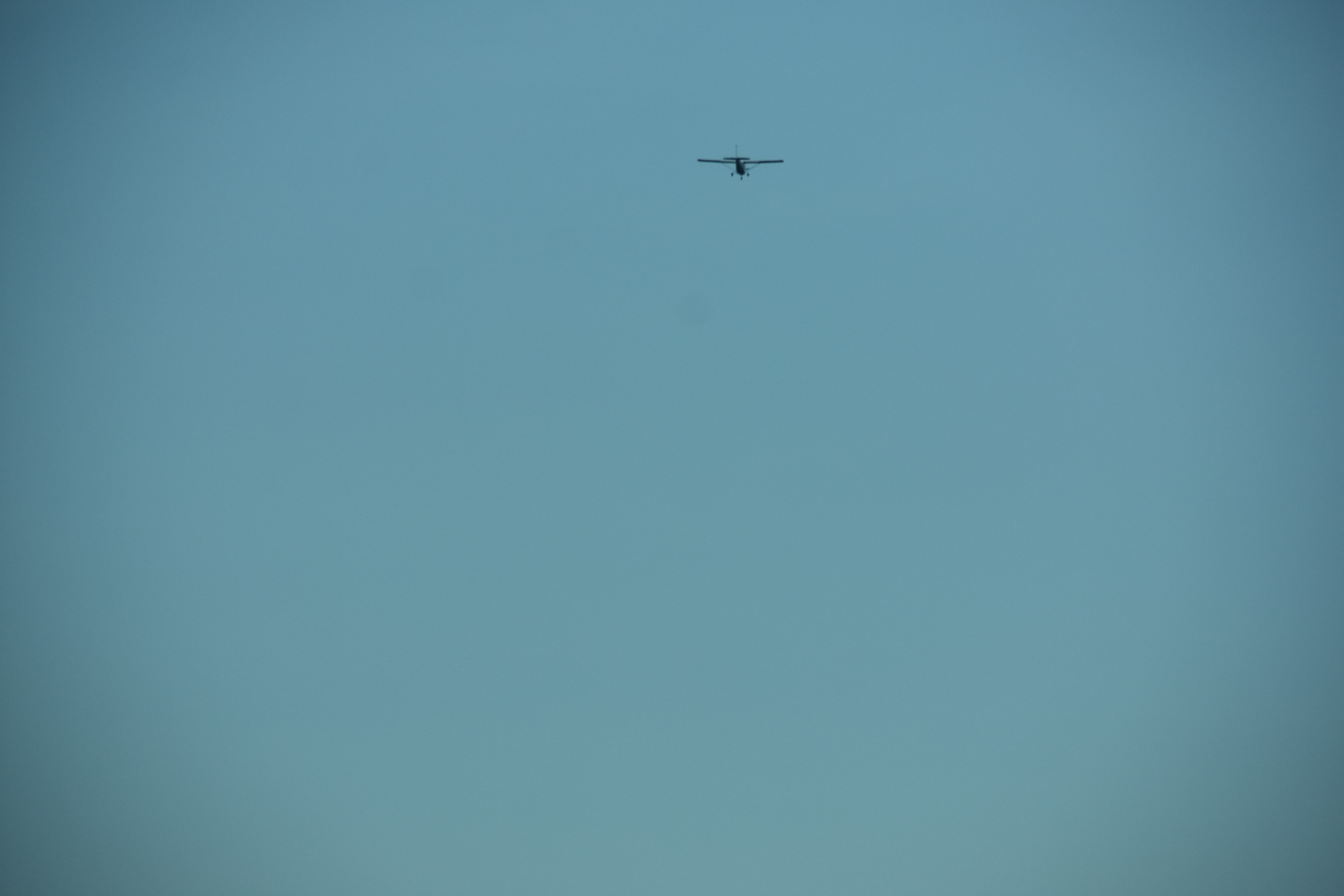 DSC_0251.jpg