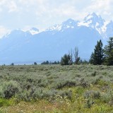 DSC_0805