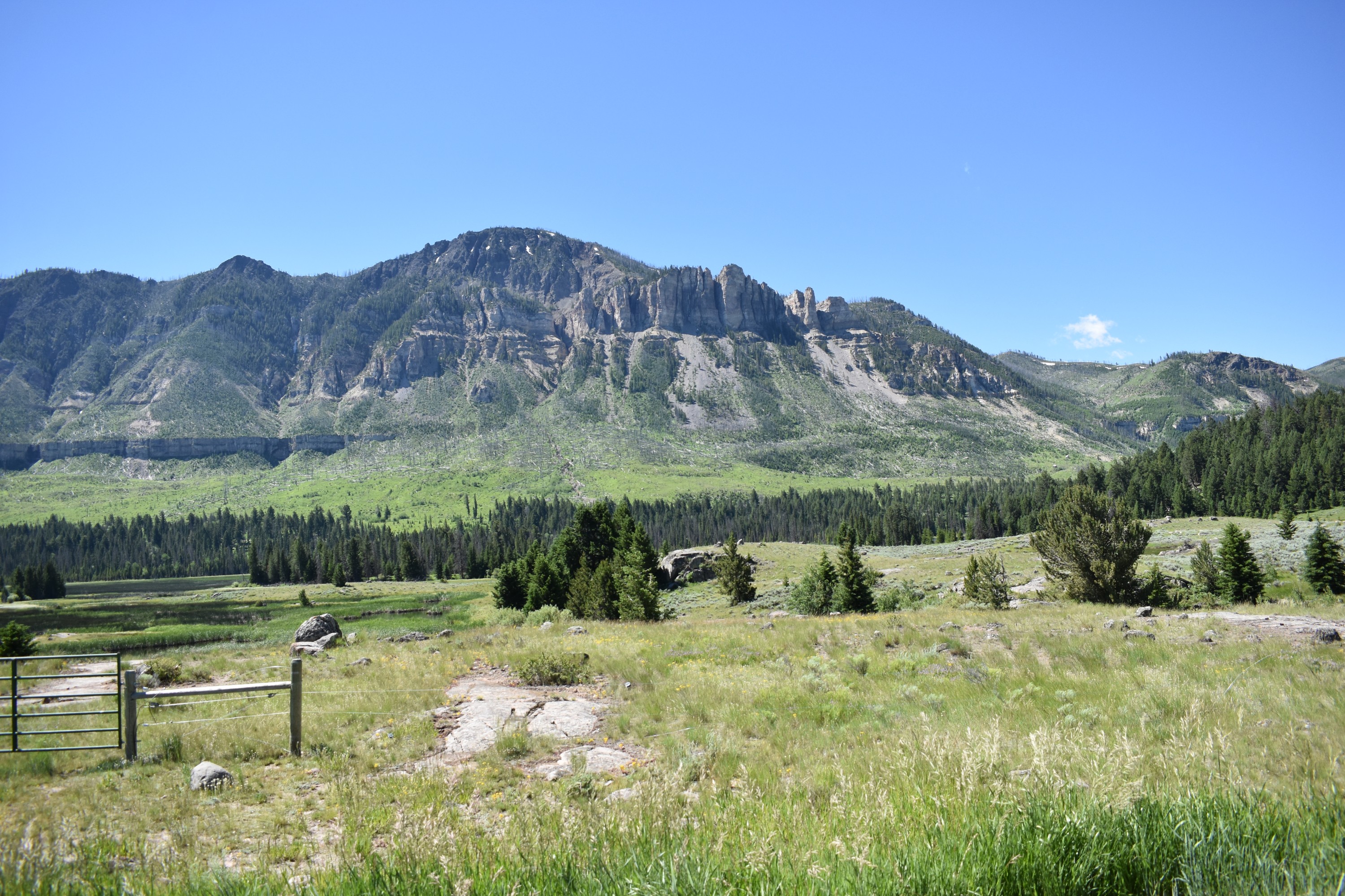 DSC_0882-3.jpg