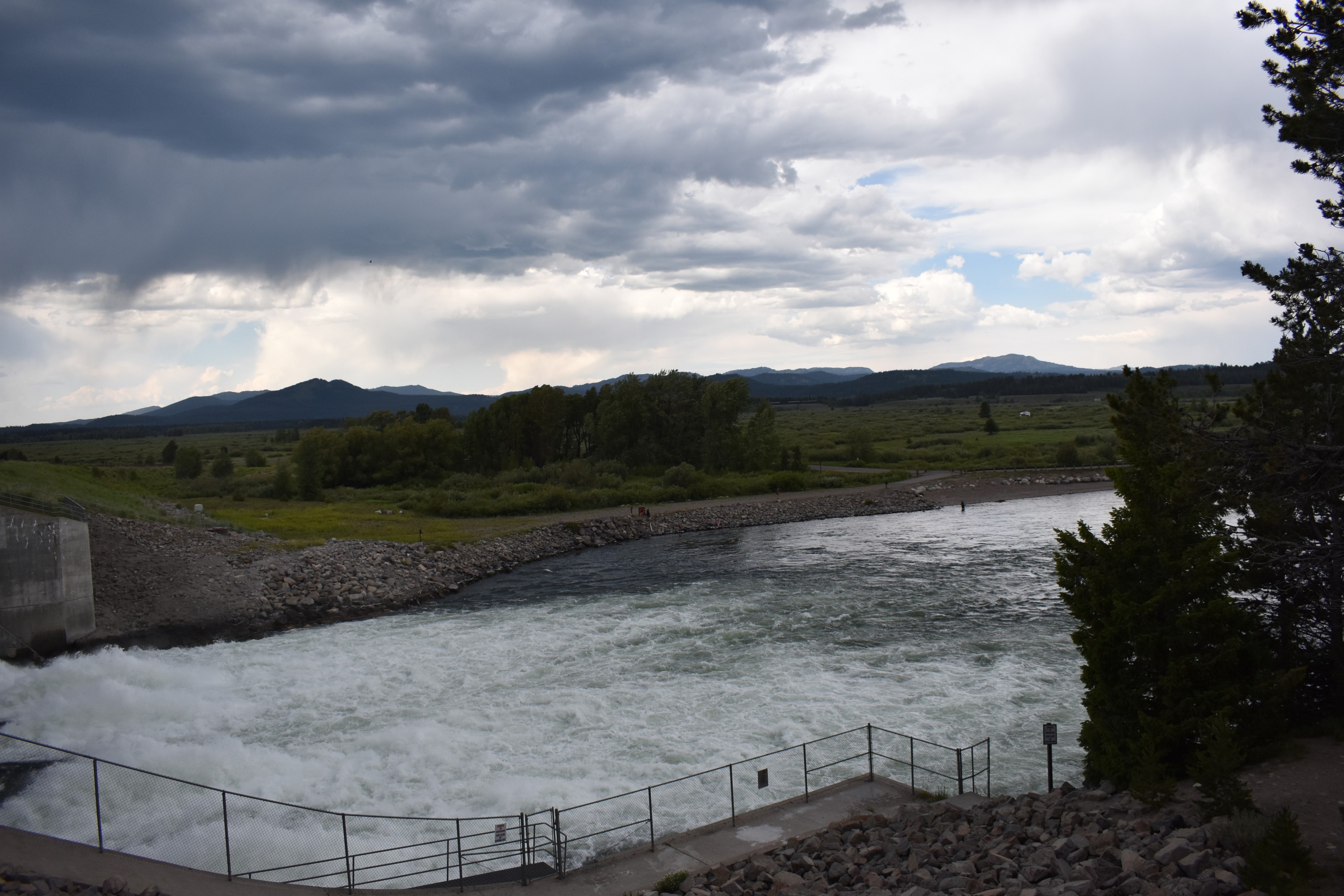 DSC_0882.jpg