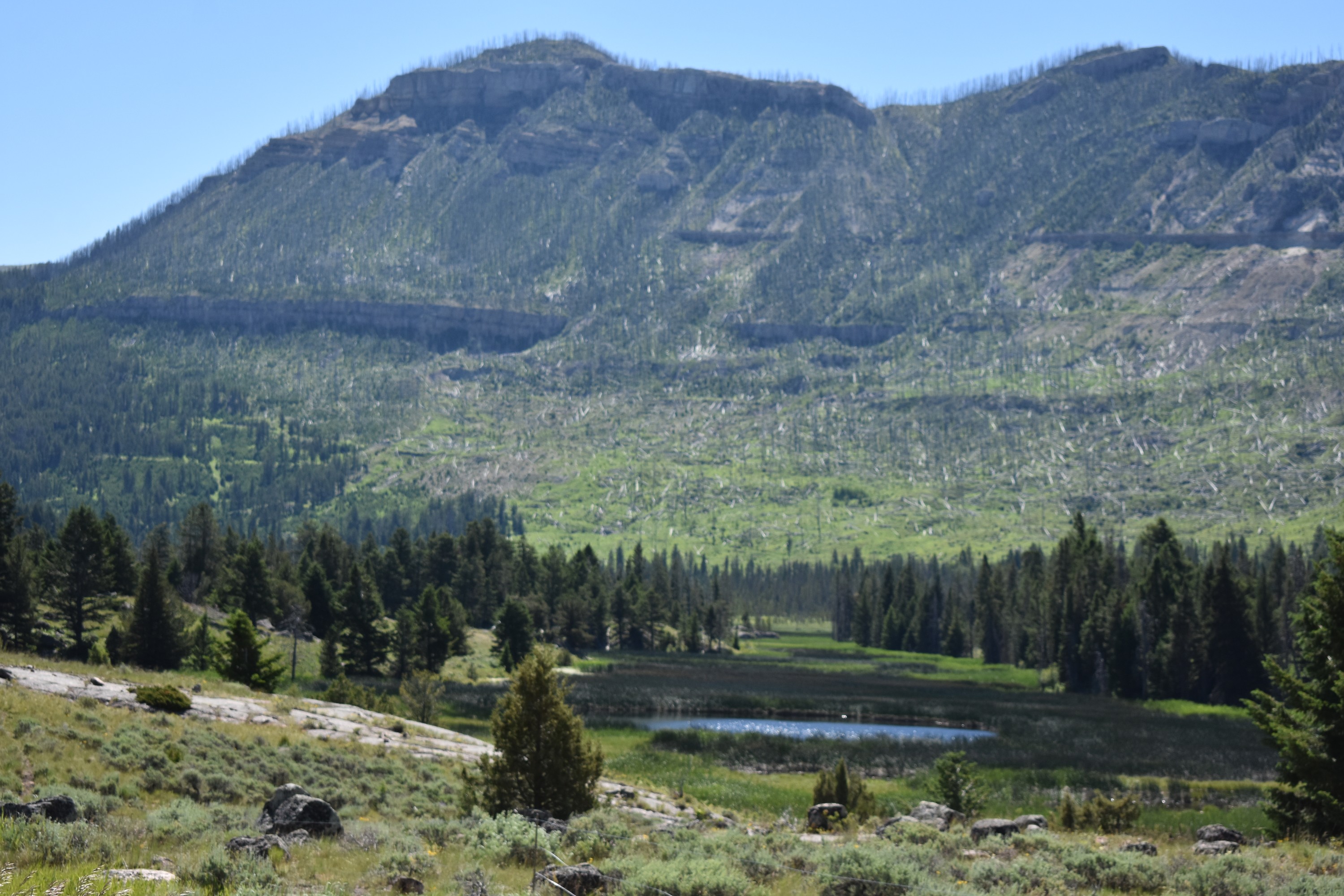 DSC_0884-2.jpg
