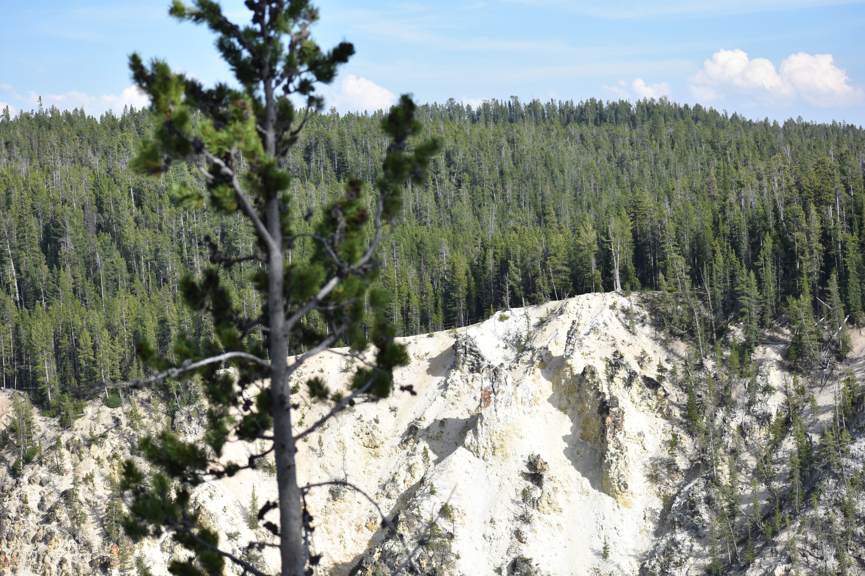 DSC_0885-2.jpg