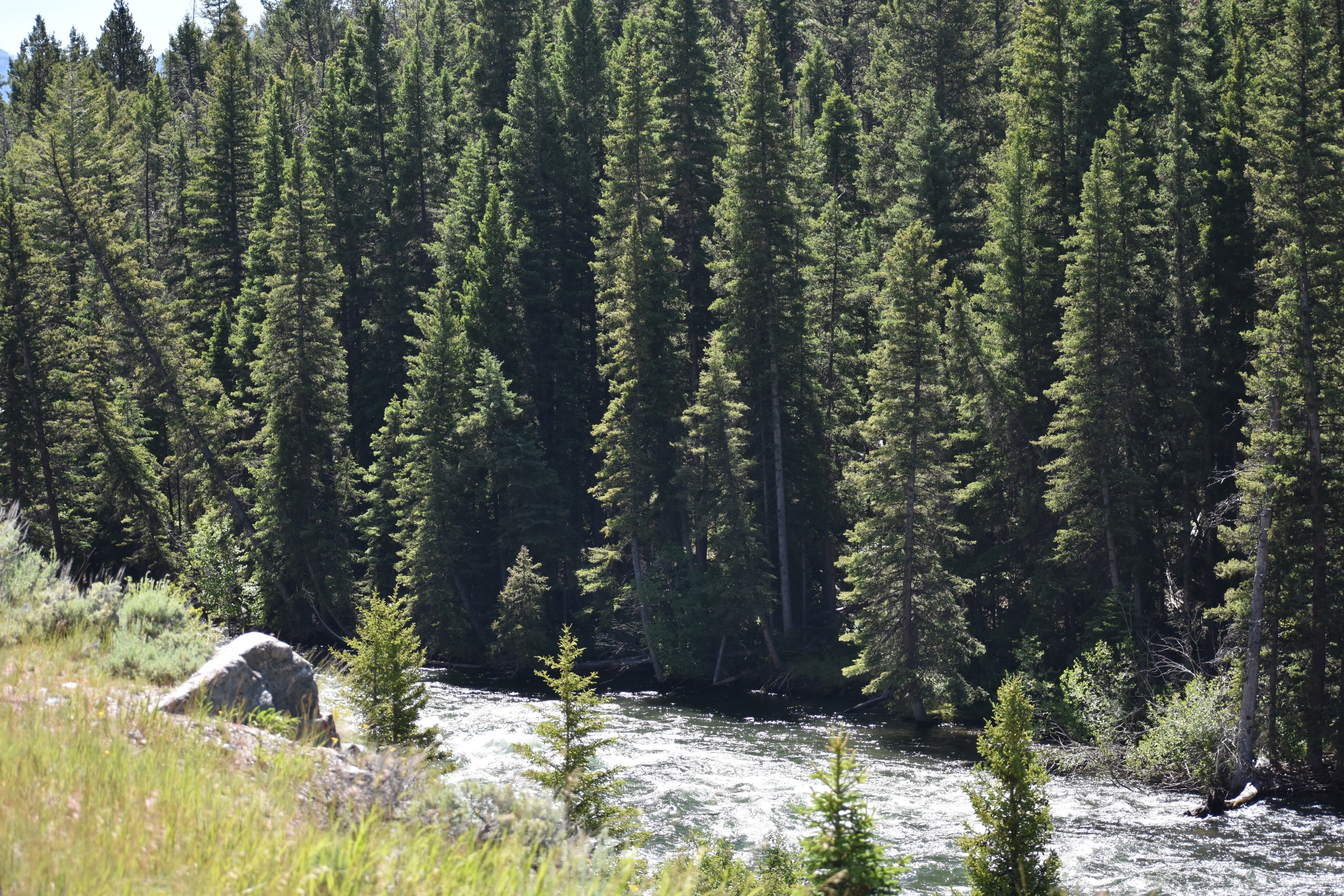 DSC_0964.jpg