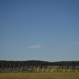 DSC_0973