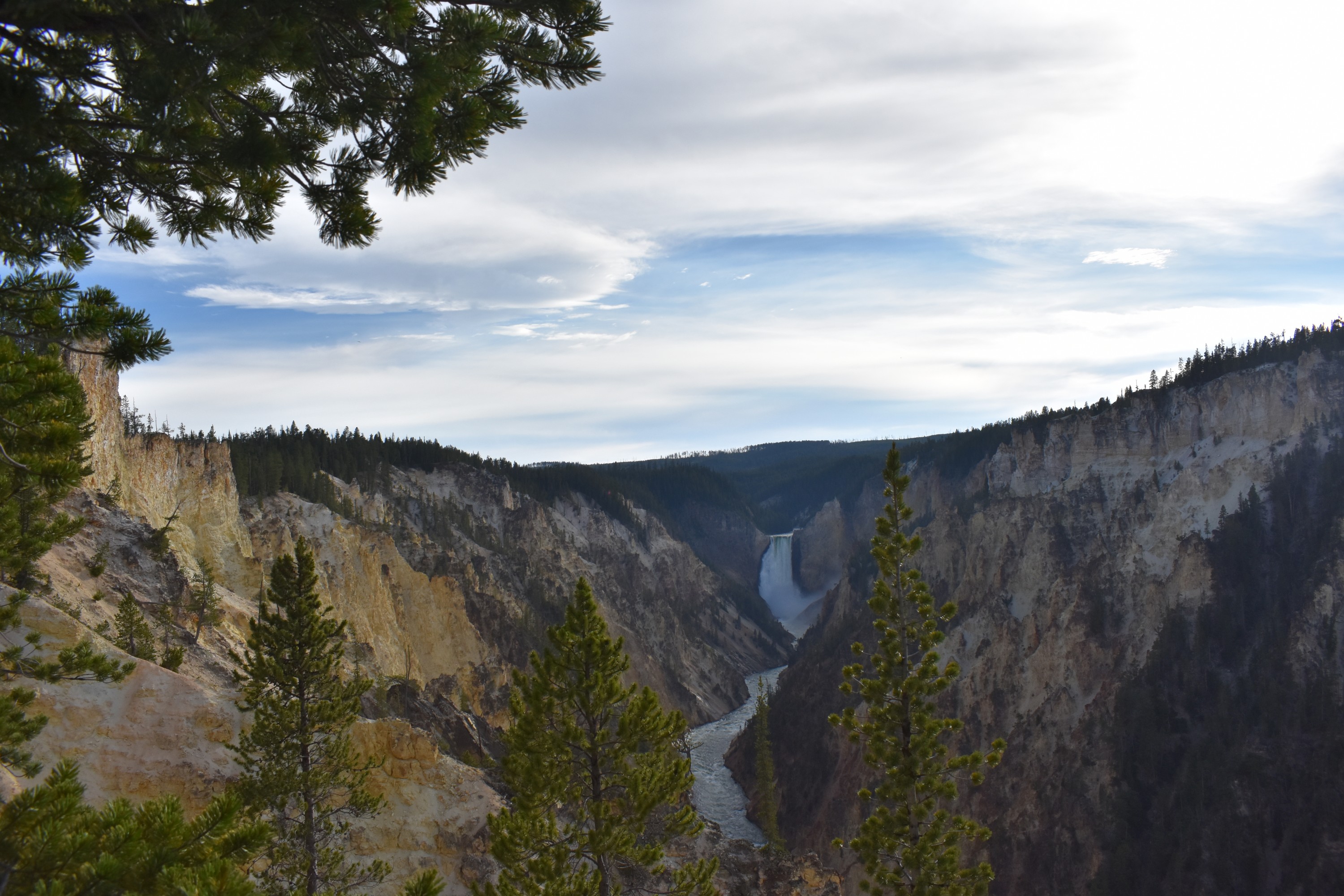 DSC_0986.jpg