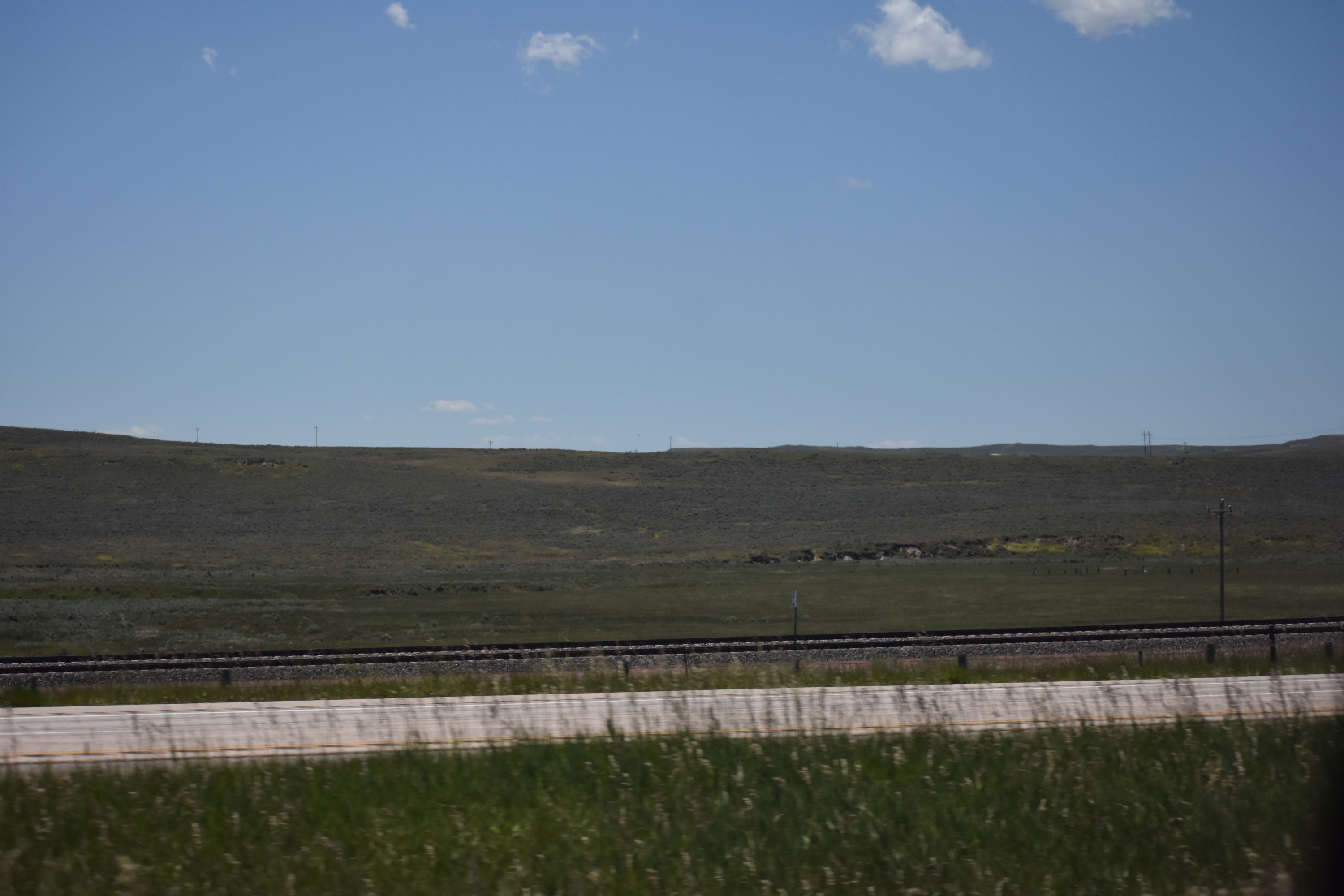 DSC_1009-2.jpg
