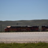 DSC_1014