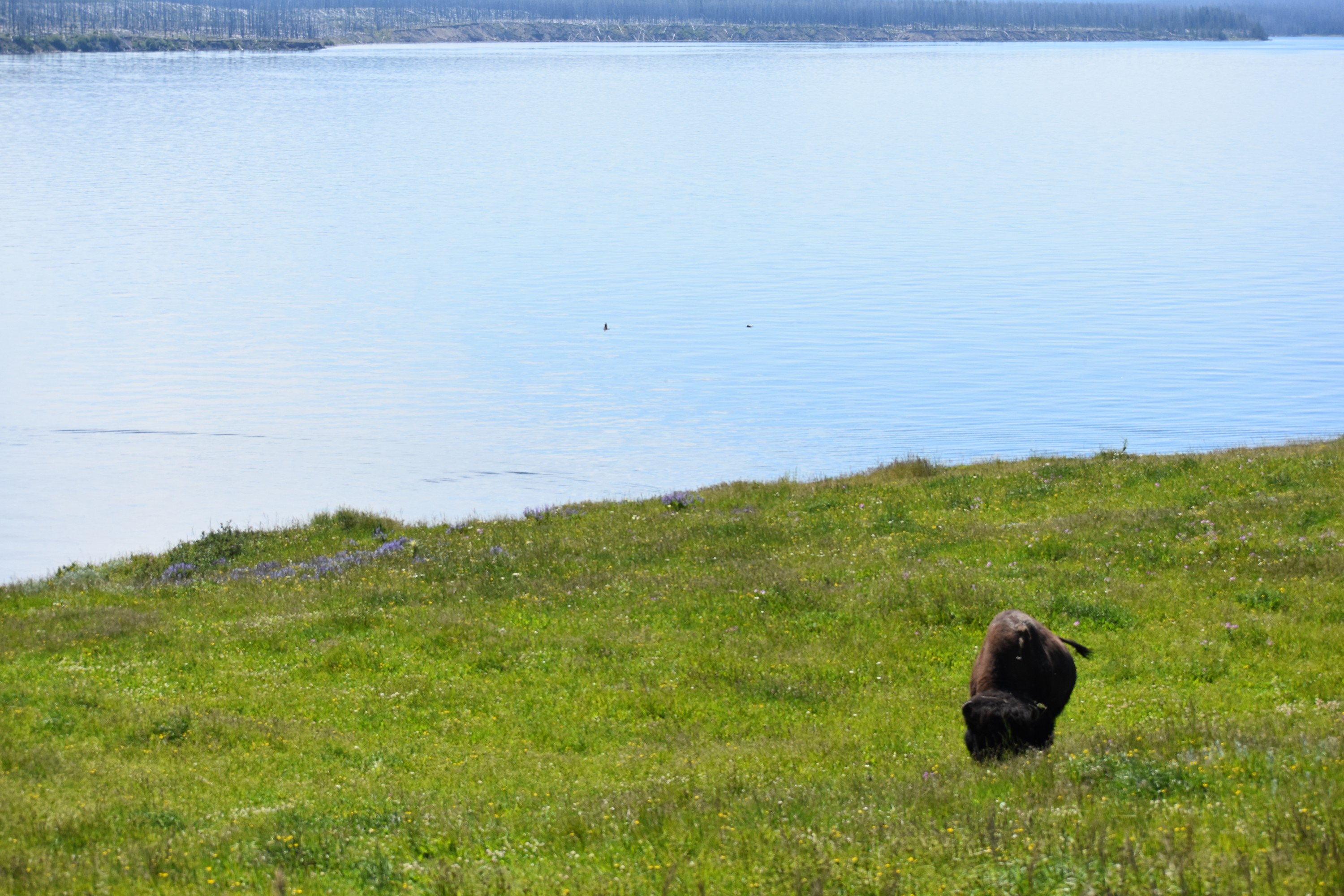 DSC_0089.jpg