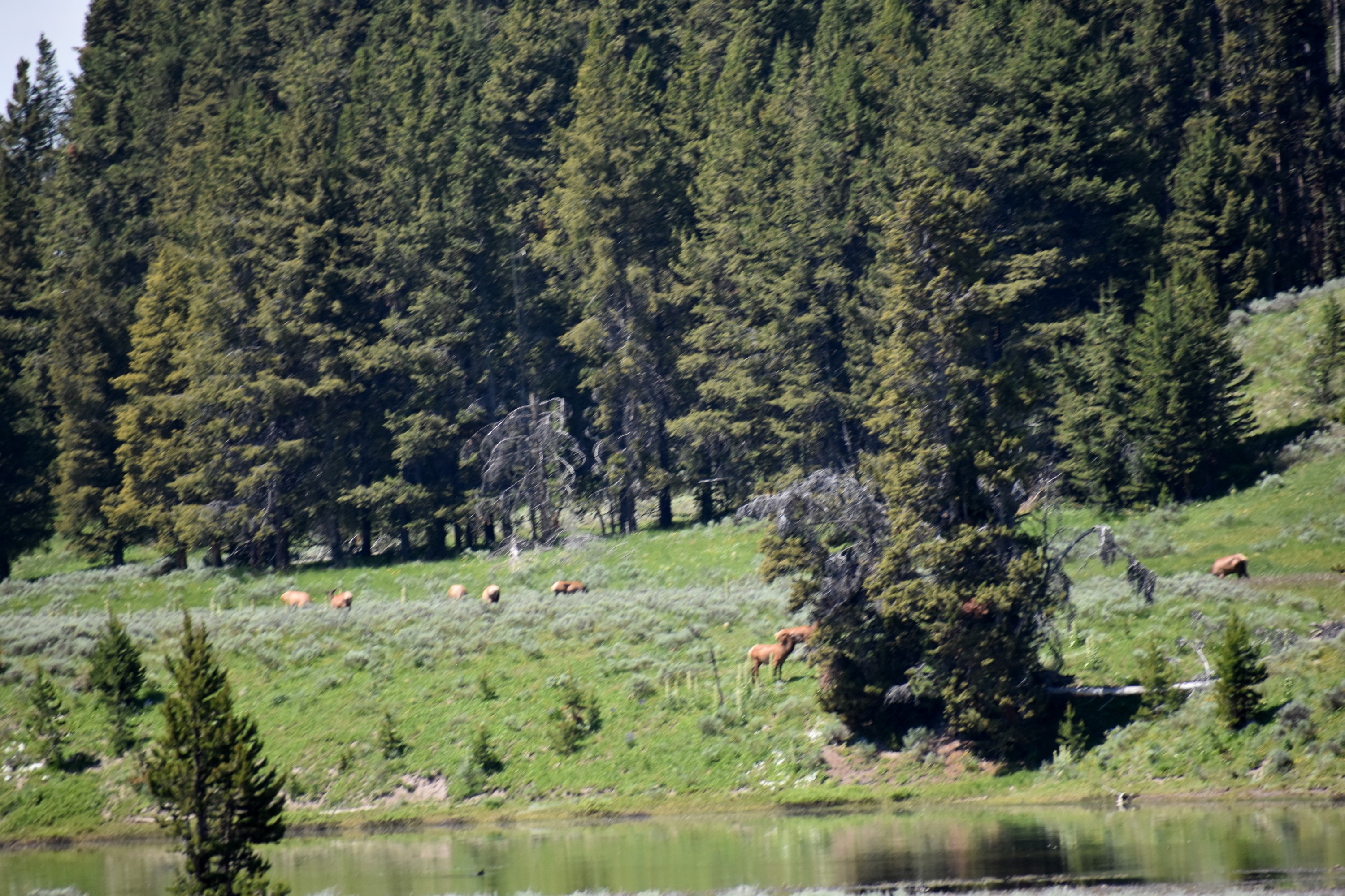DSC_0091.jpg