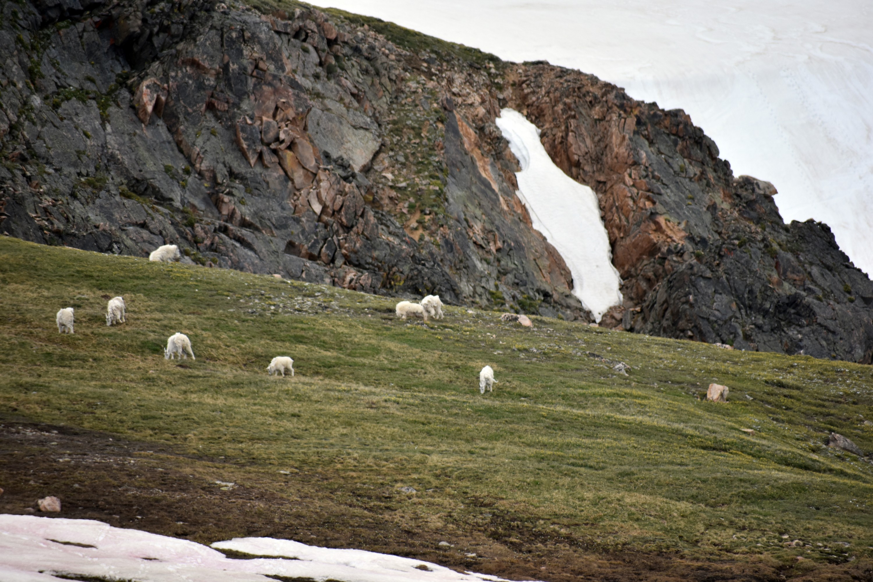 DSC_0263.jpg