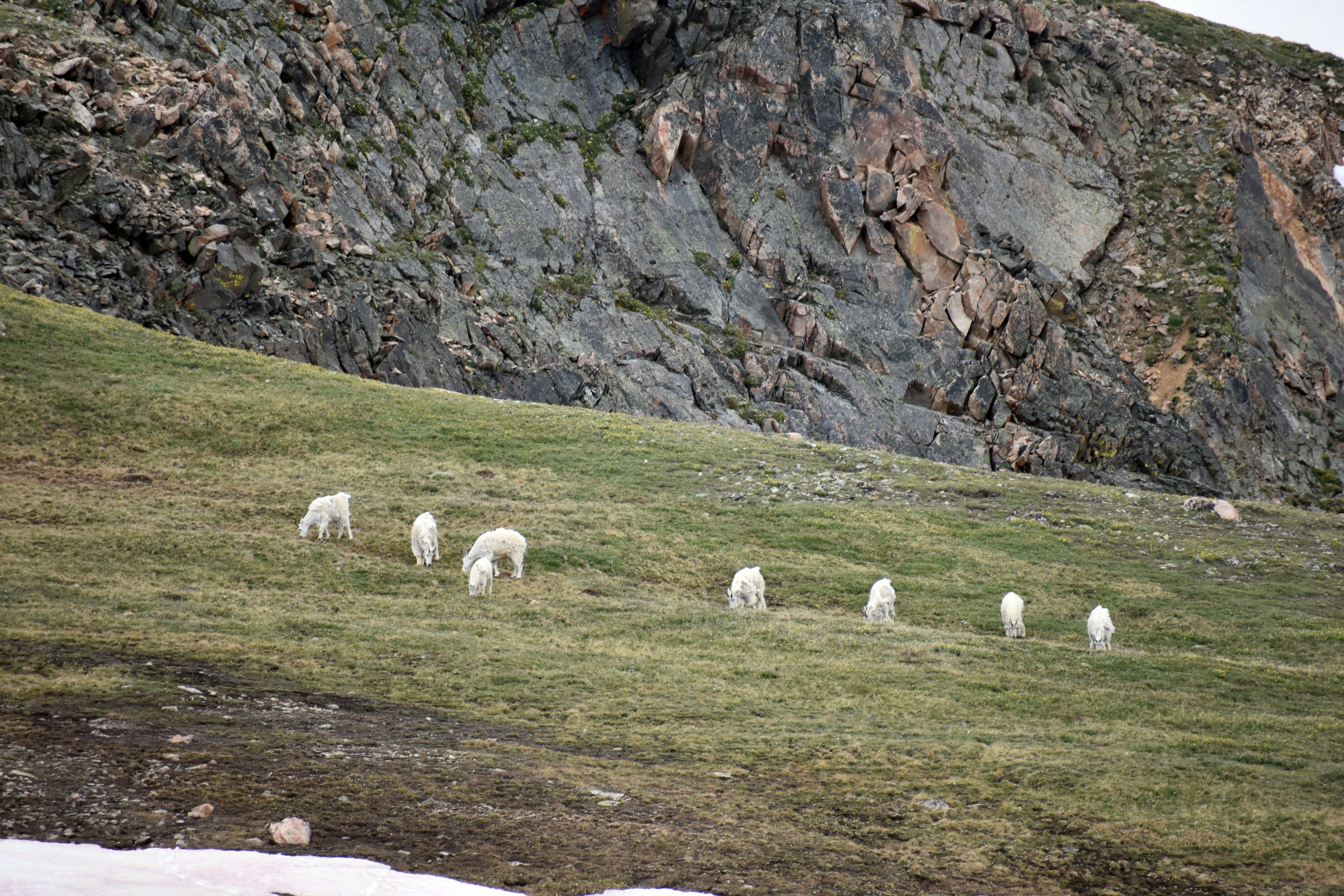 DSC_0268.jpg
