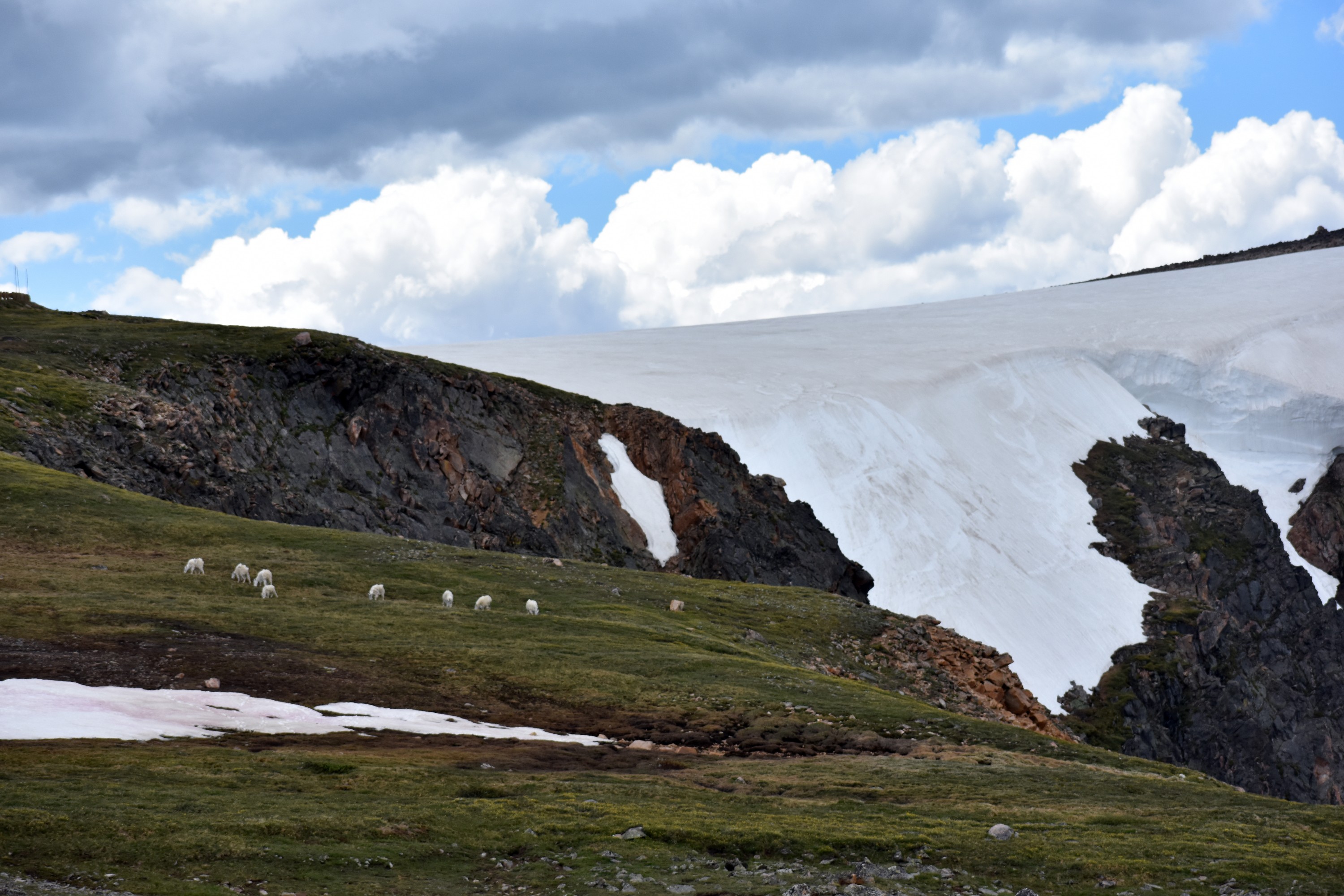 DSC_0276.jpg