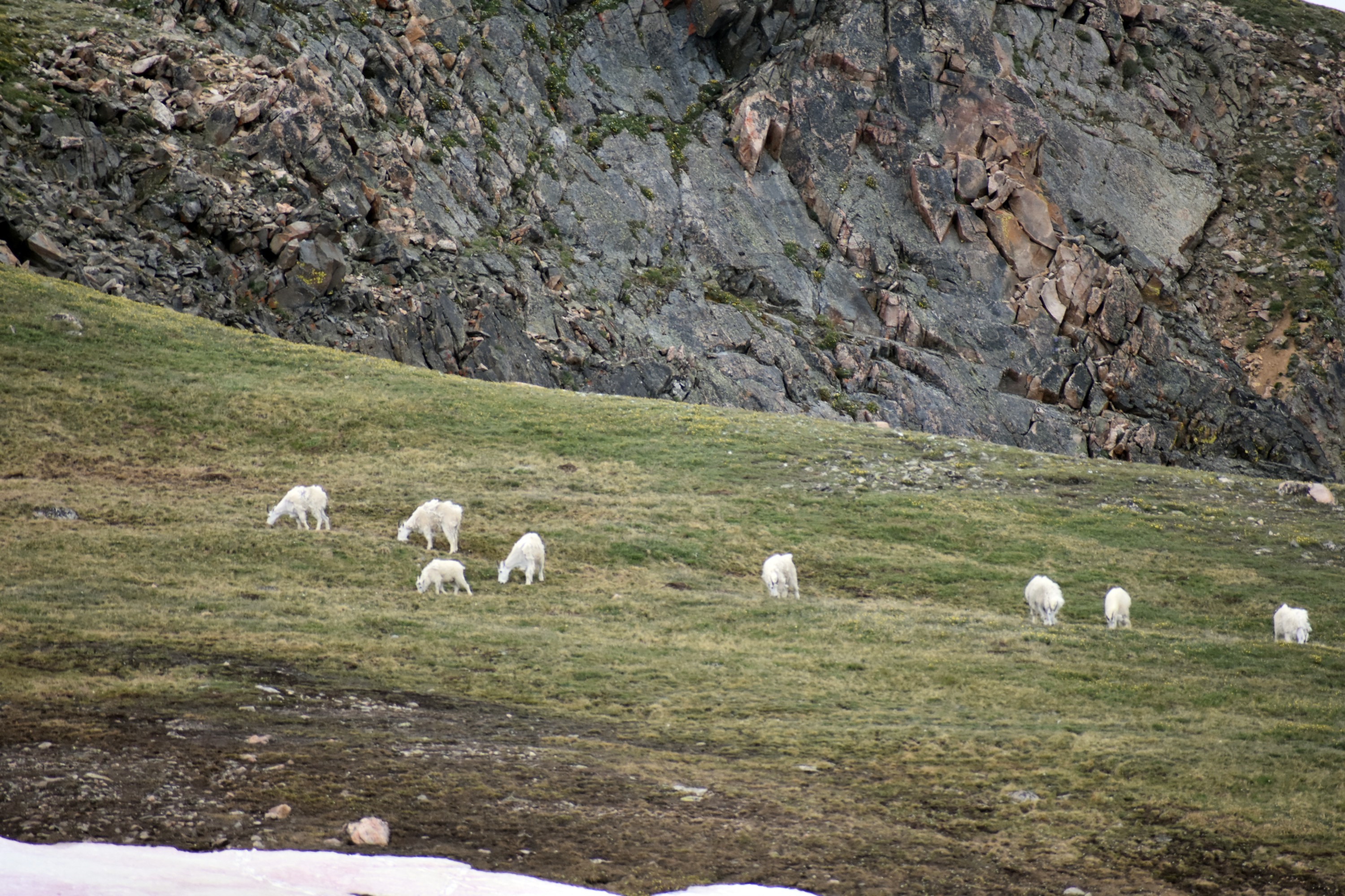 DSC_0280.jpg