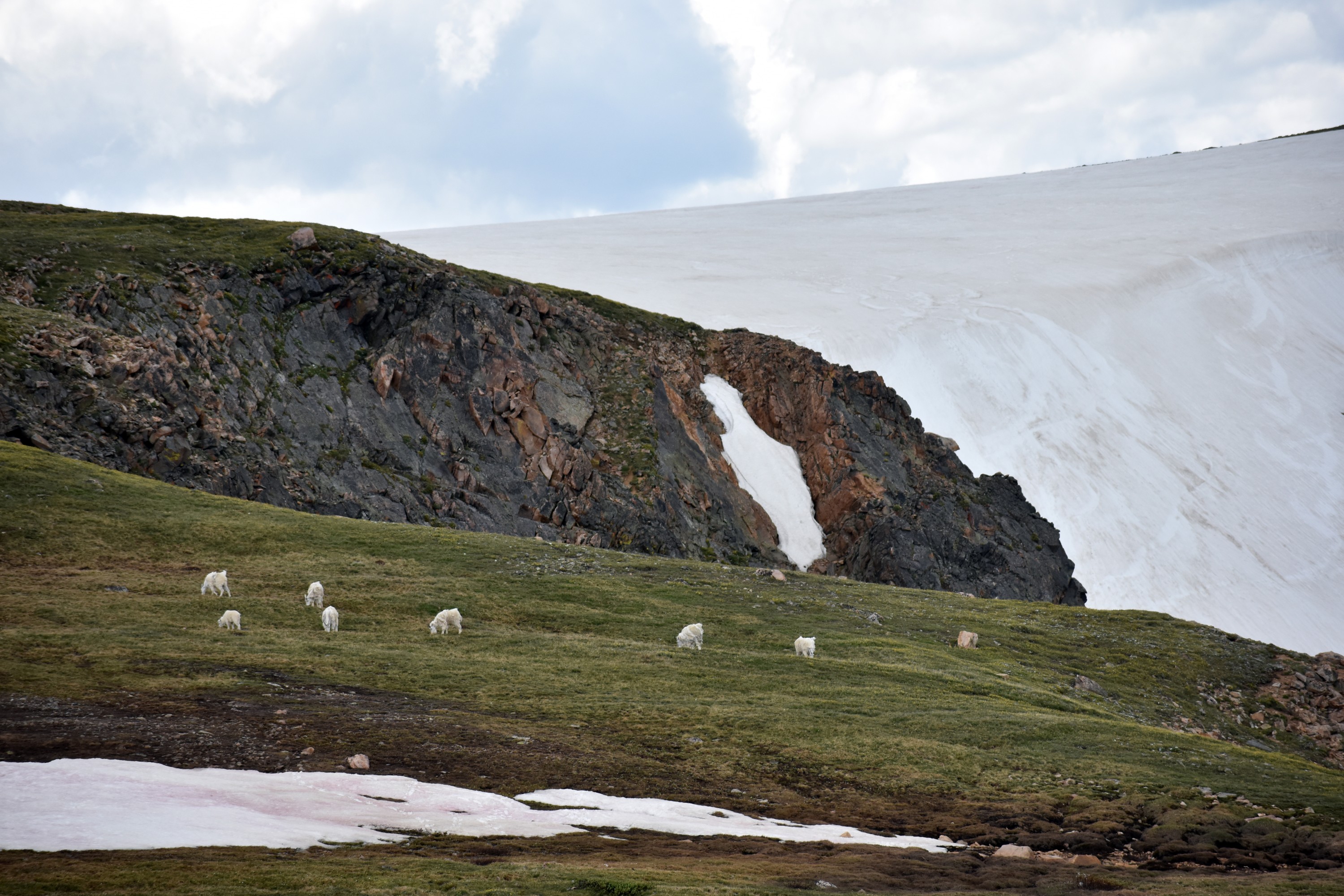 DSC_0292.jpg