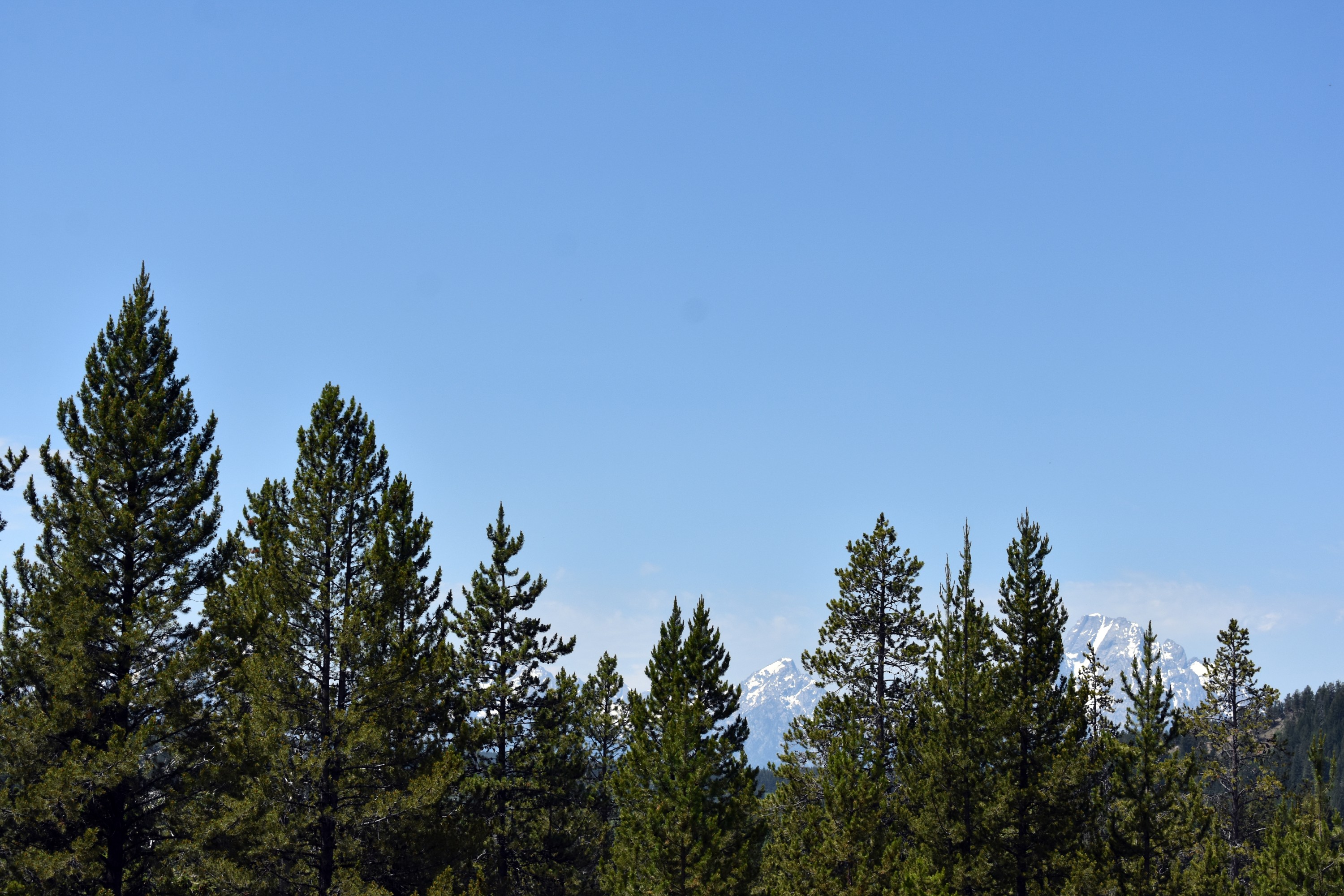DSC_0606.jpg
