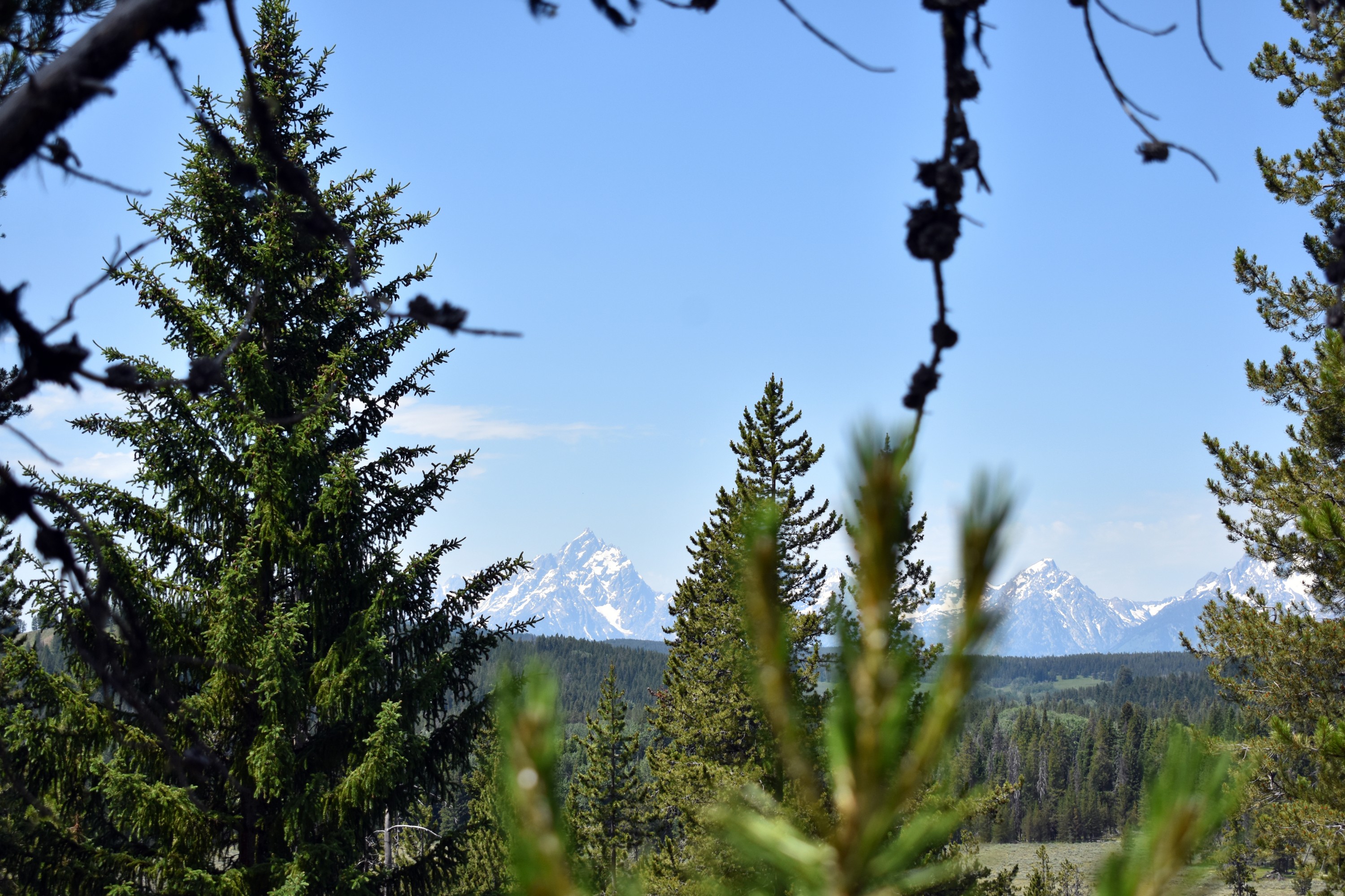 DSC_0610.jpg