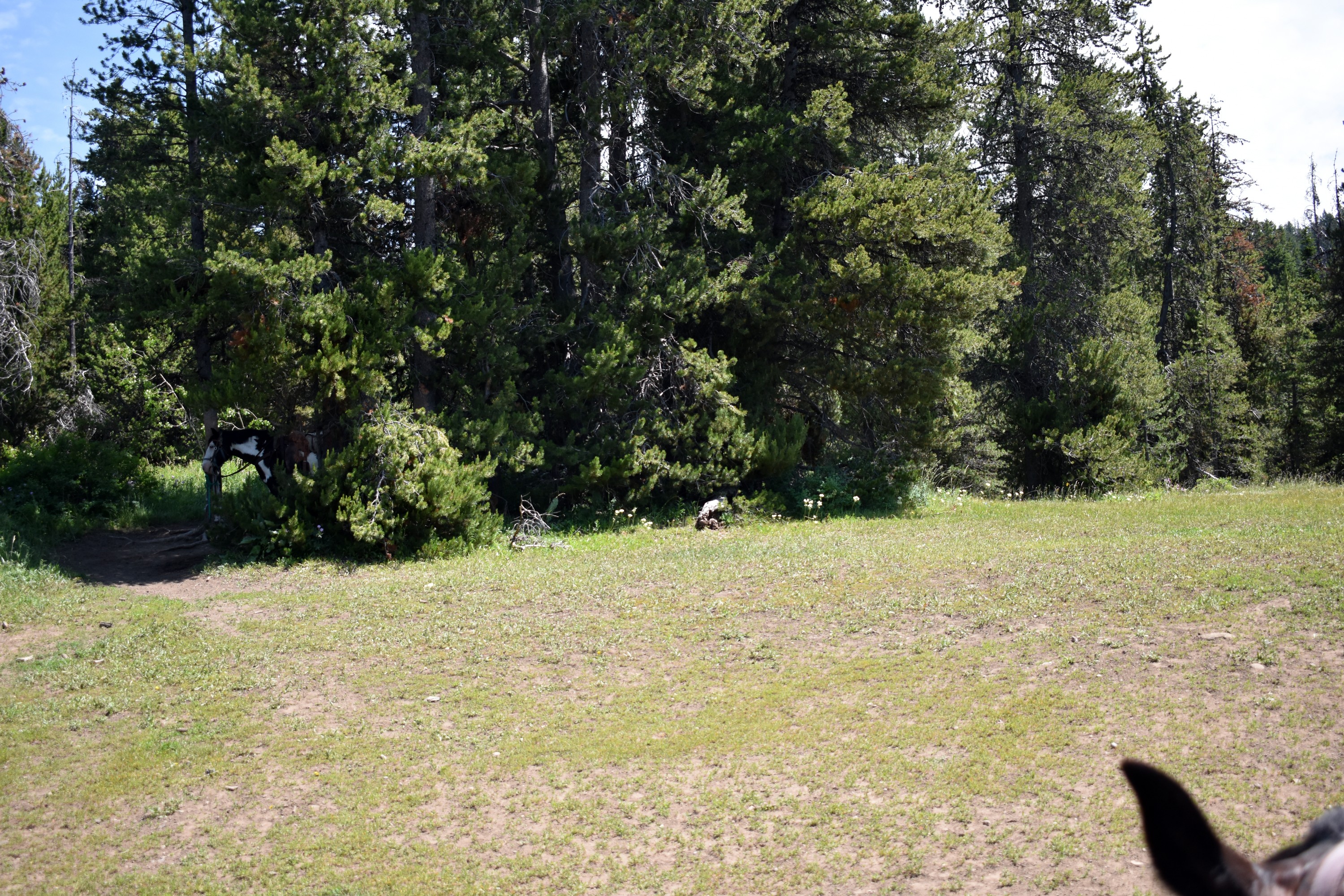 DSC_0620.jpg