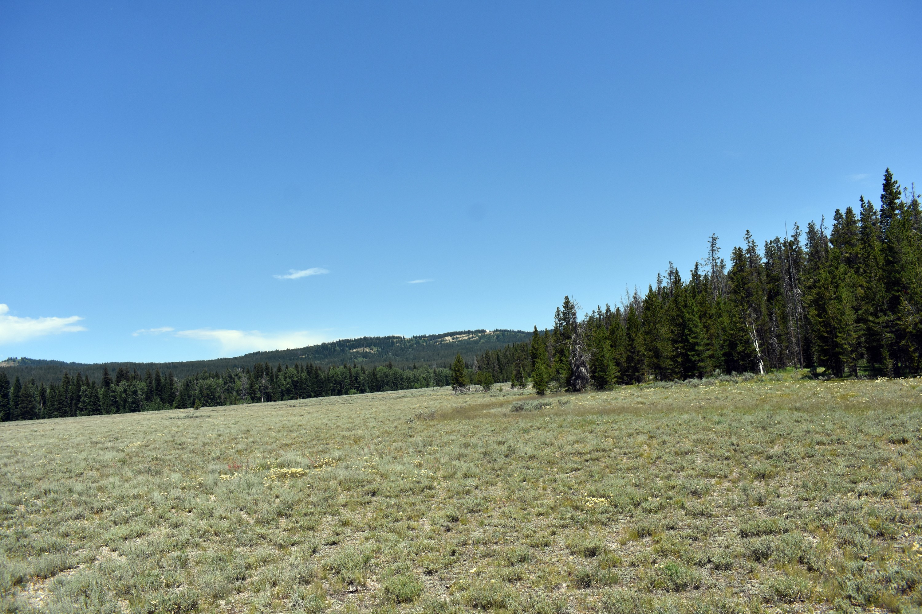 DSC_0639.jpg