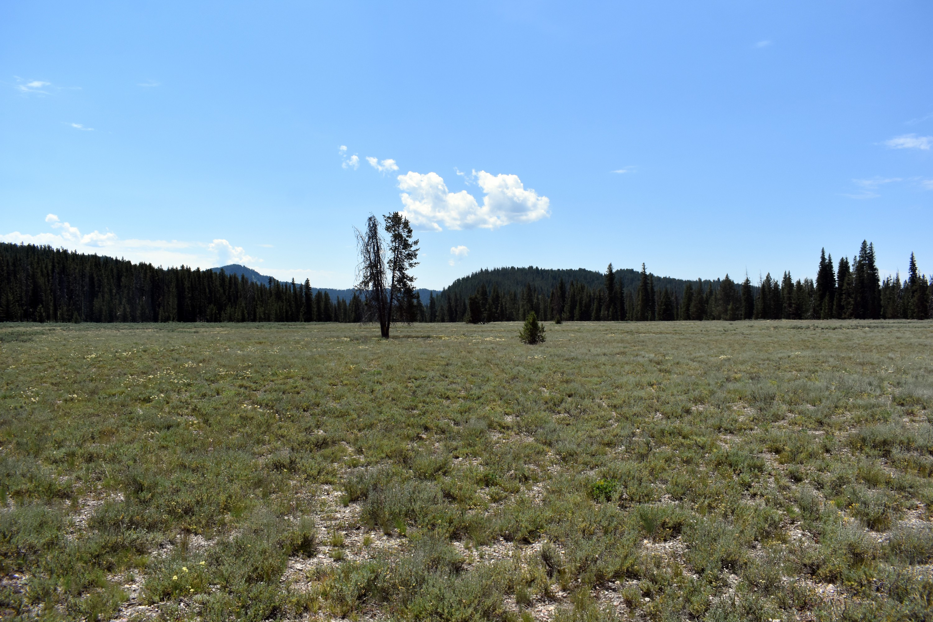 DSC_0640.jpg