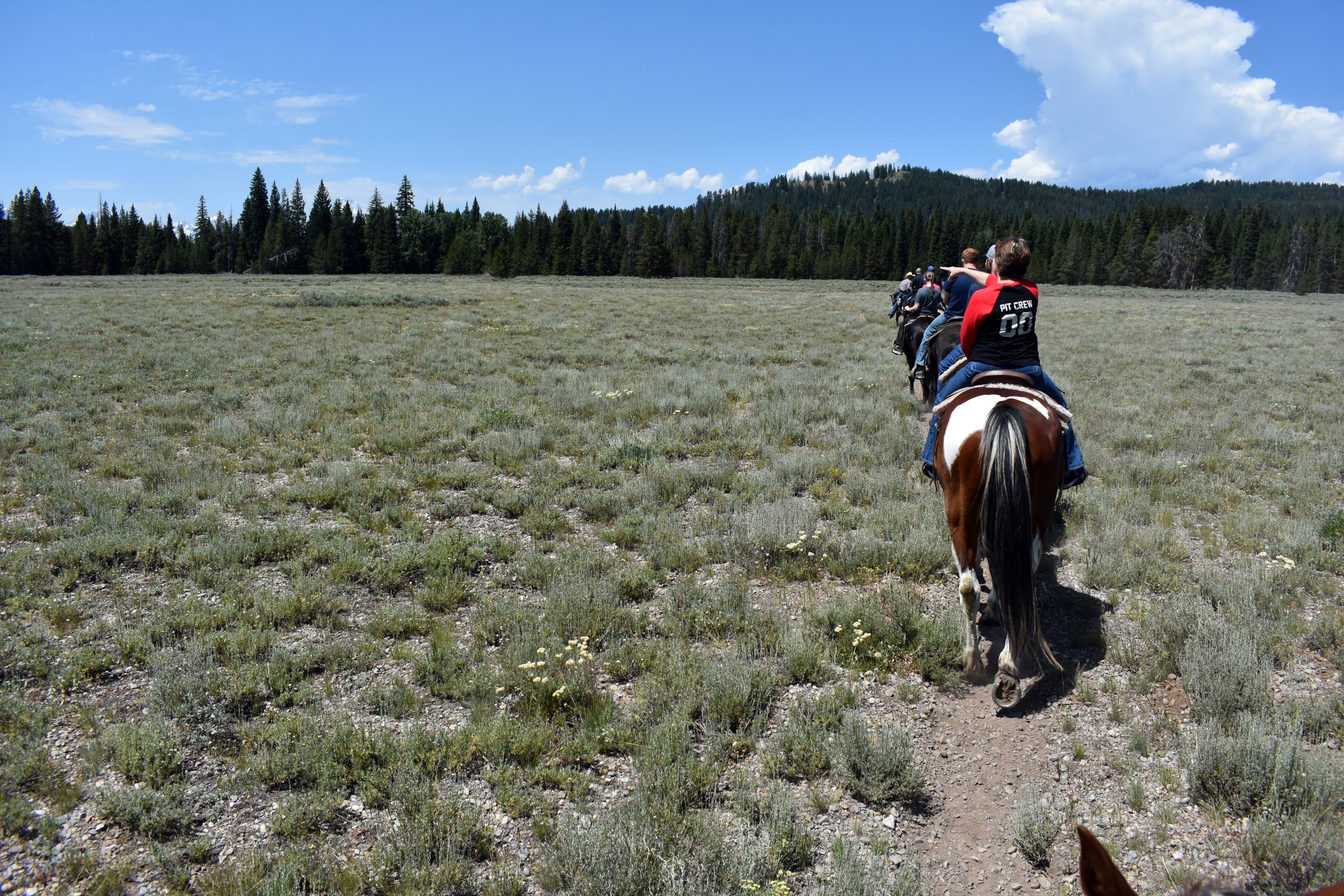DSC_0644.jpg