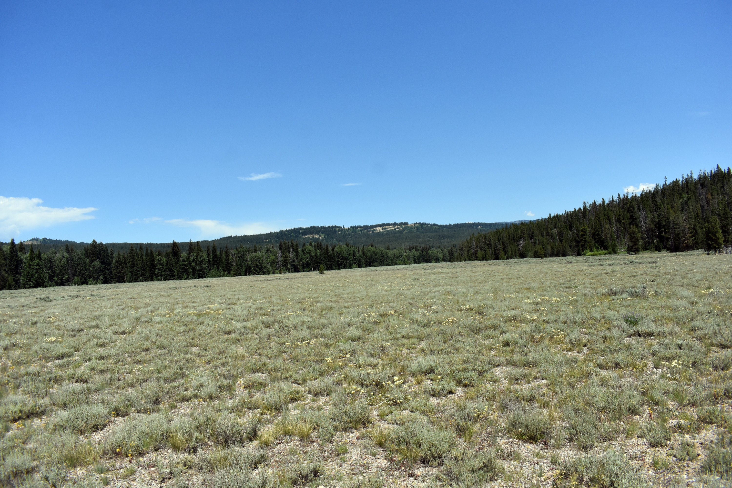 DSC_0650.jpg