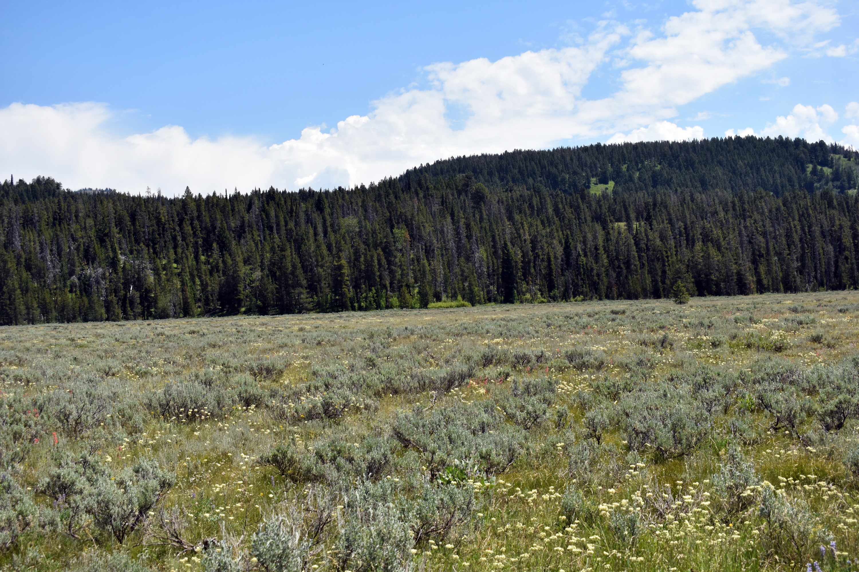 DSC_0663.jpg