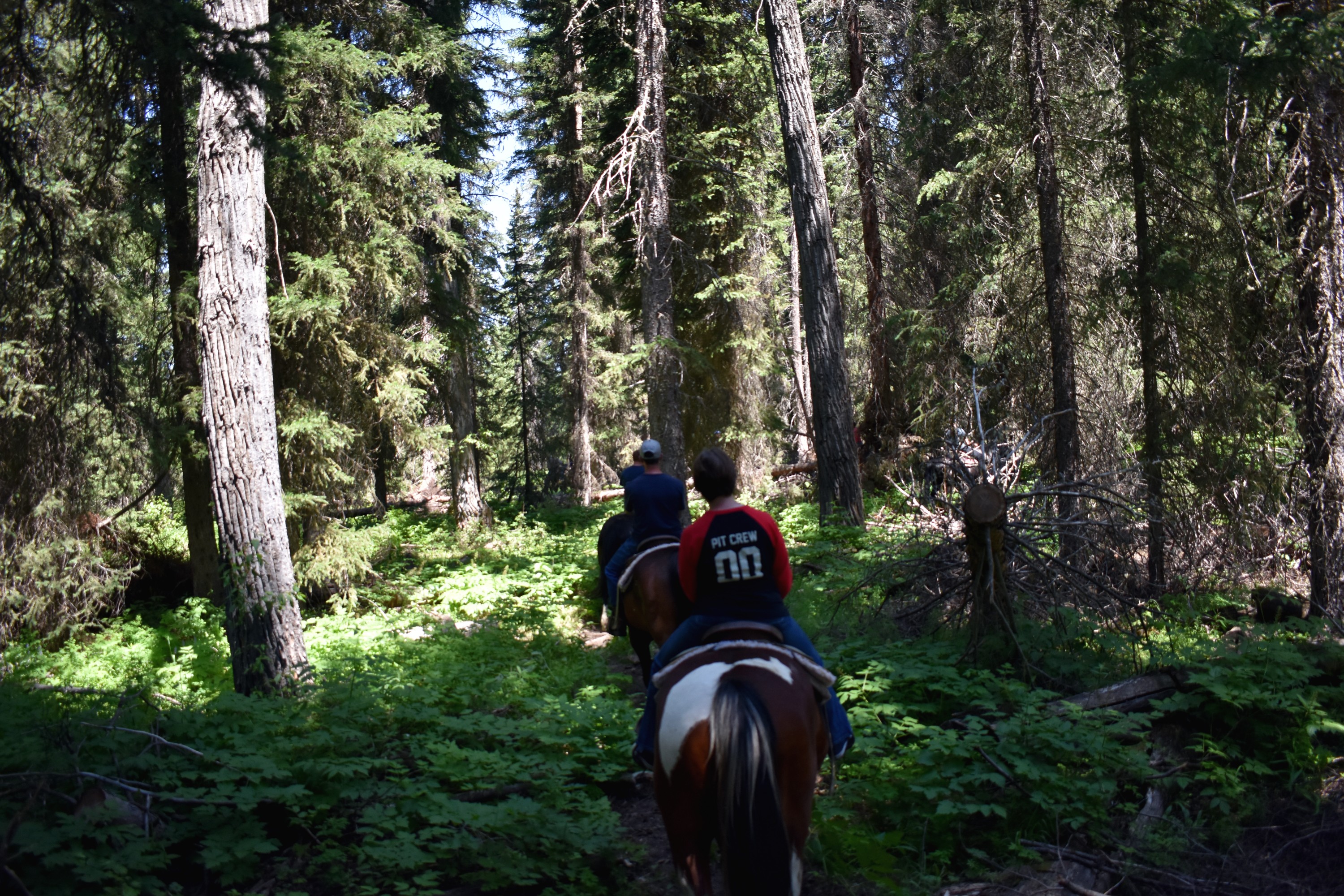 DSC_0673.jpg