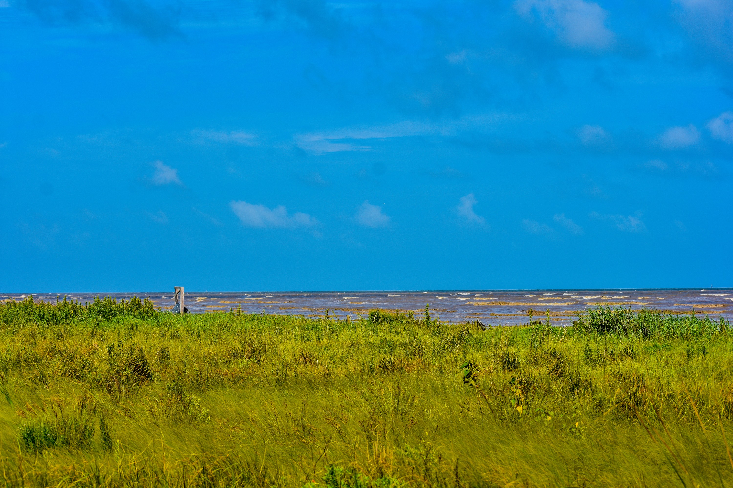 DSC_0693.jpg