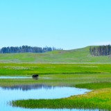 DSC_0976.jpg